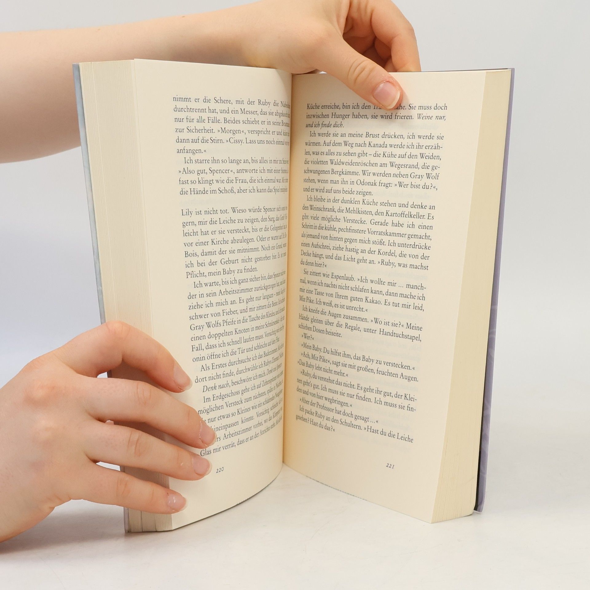 Jodi Picoult Zeit der Gespenster