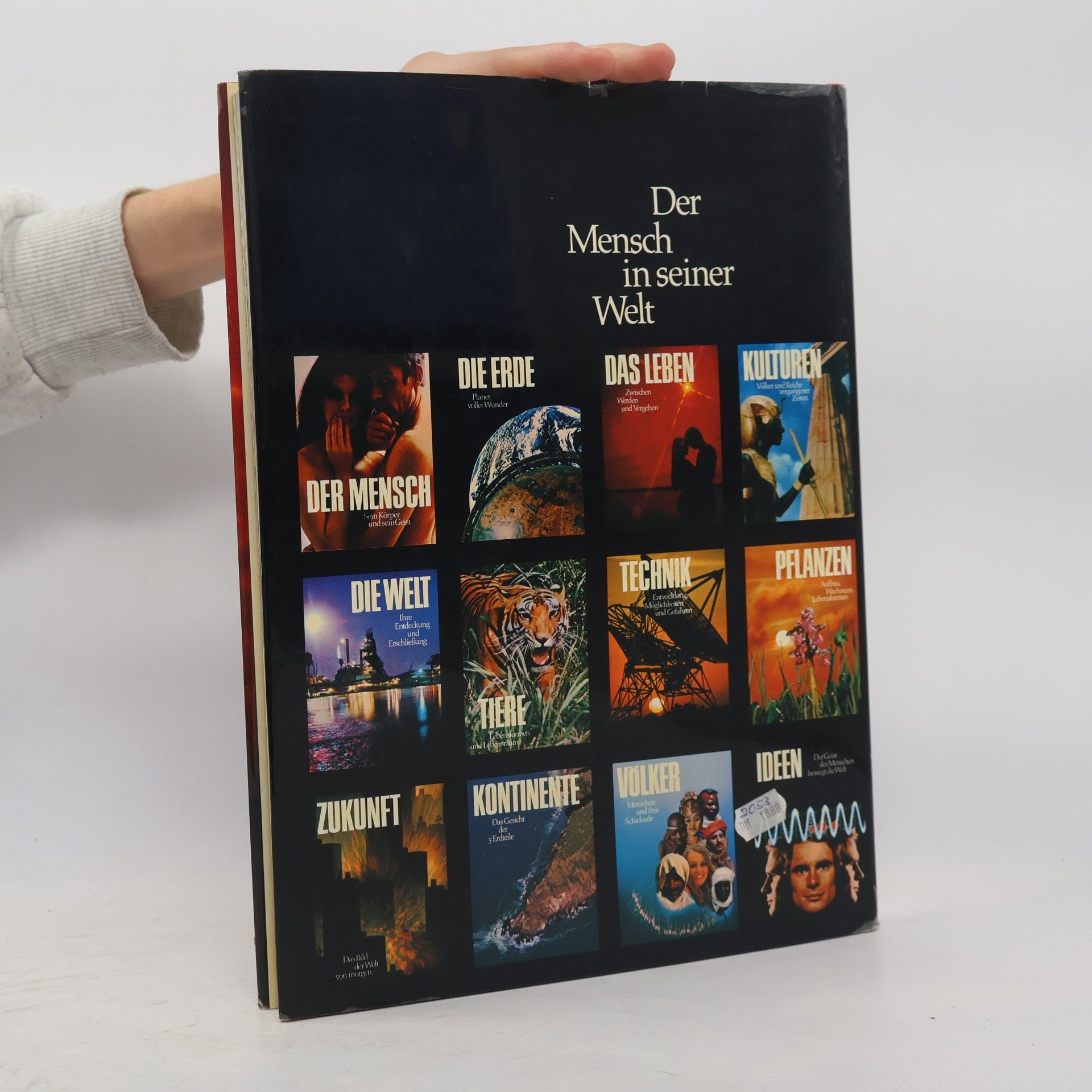 Autores varios Das Leben. Zwischen Werden und Vergehen