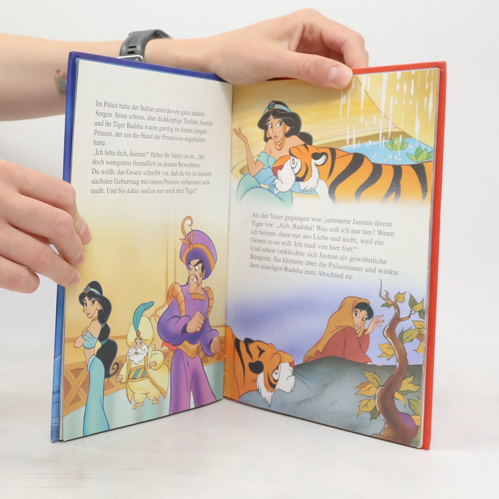 Walt Disney Aladdin