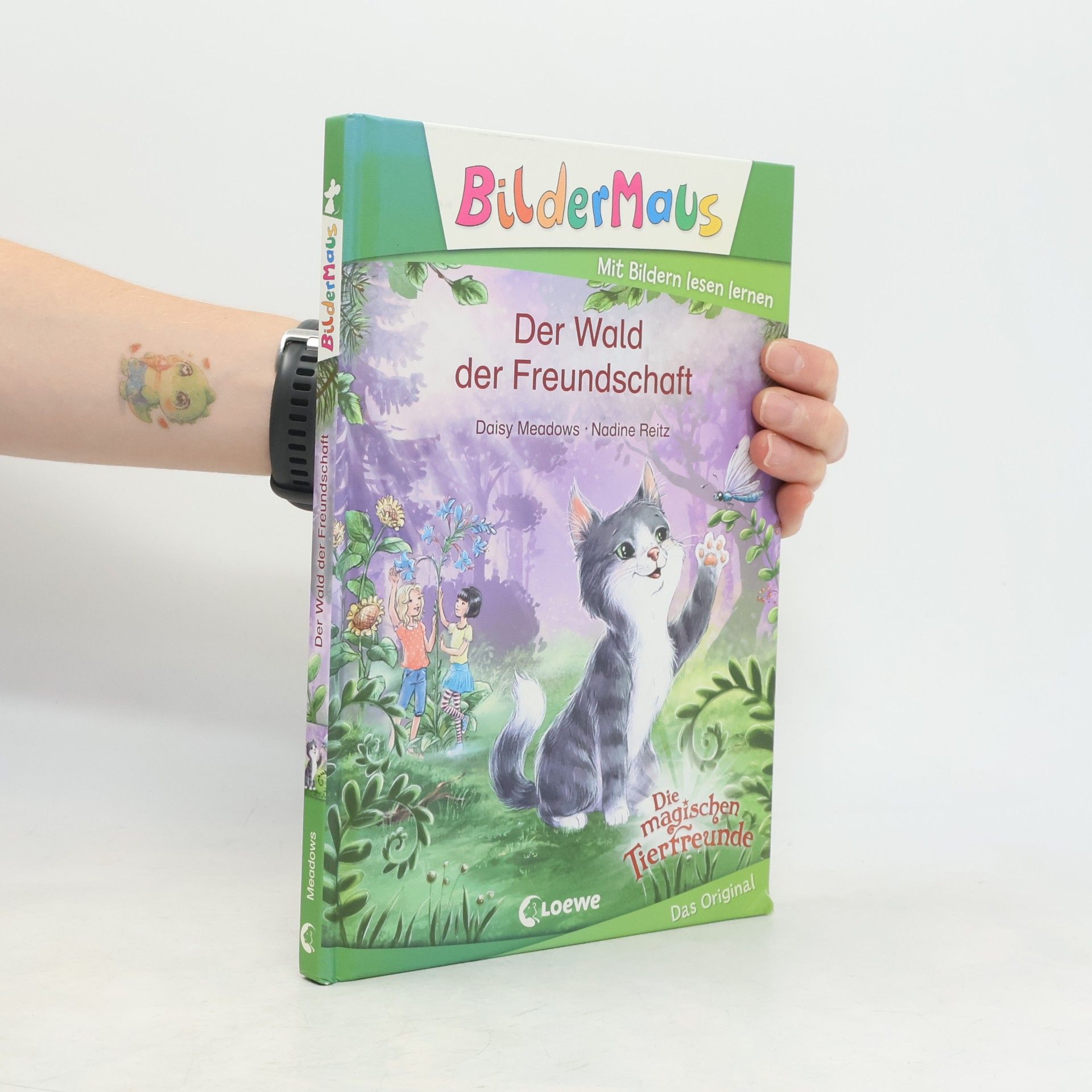 Daisy Meadows Bildermaus - Der Wald der Freundschaft