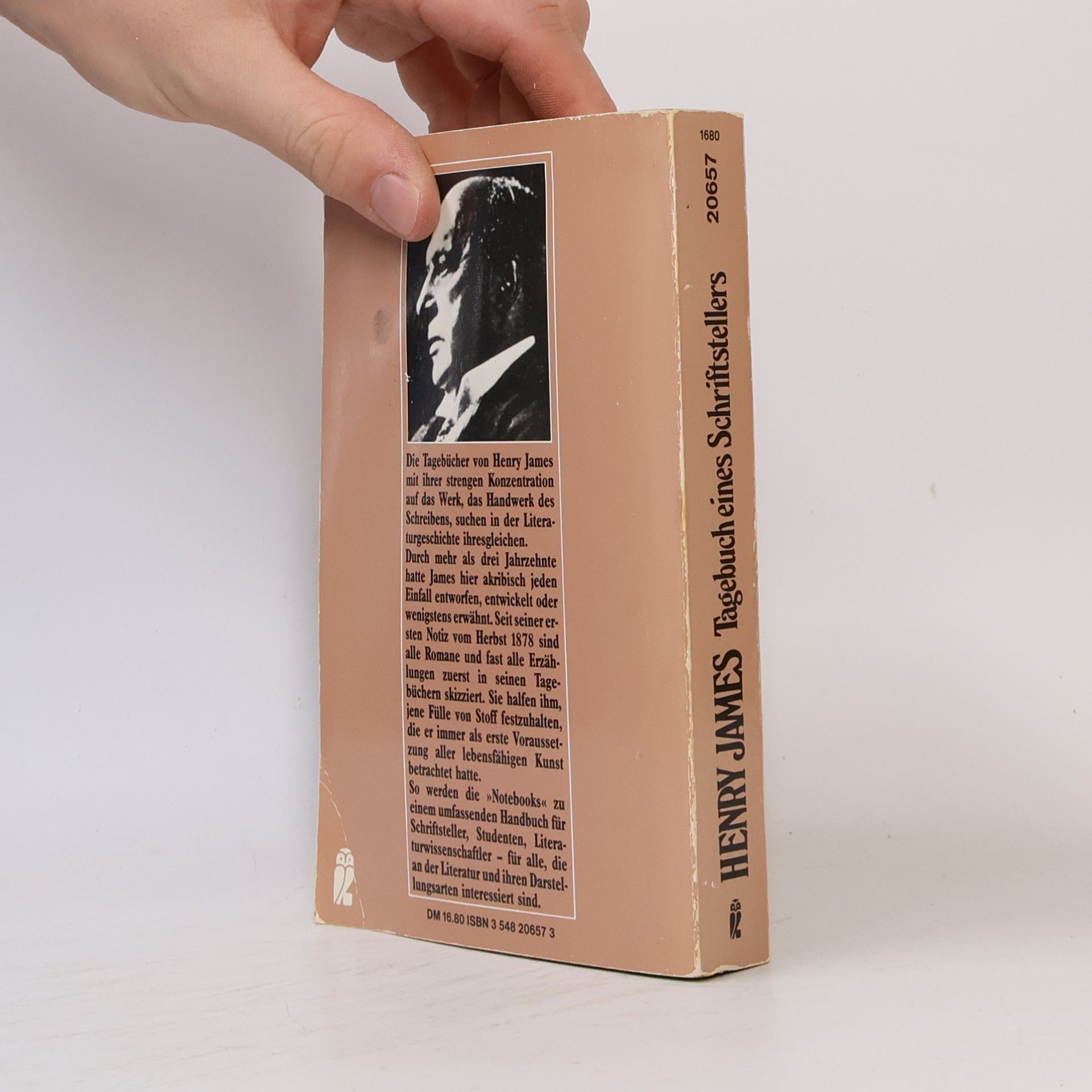 Henry James Tagebuch eines Schriftstellers
