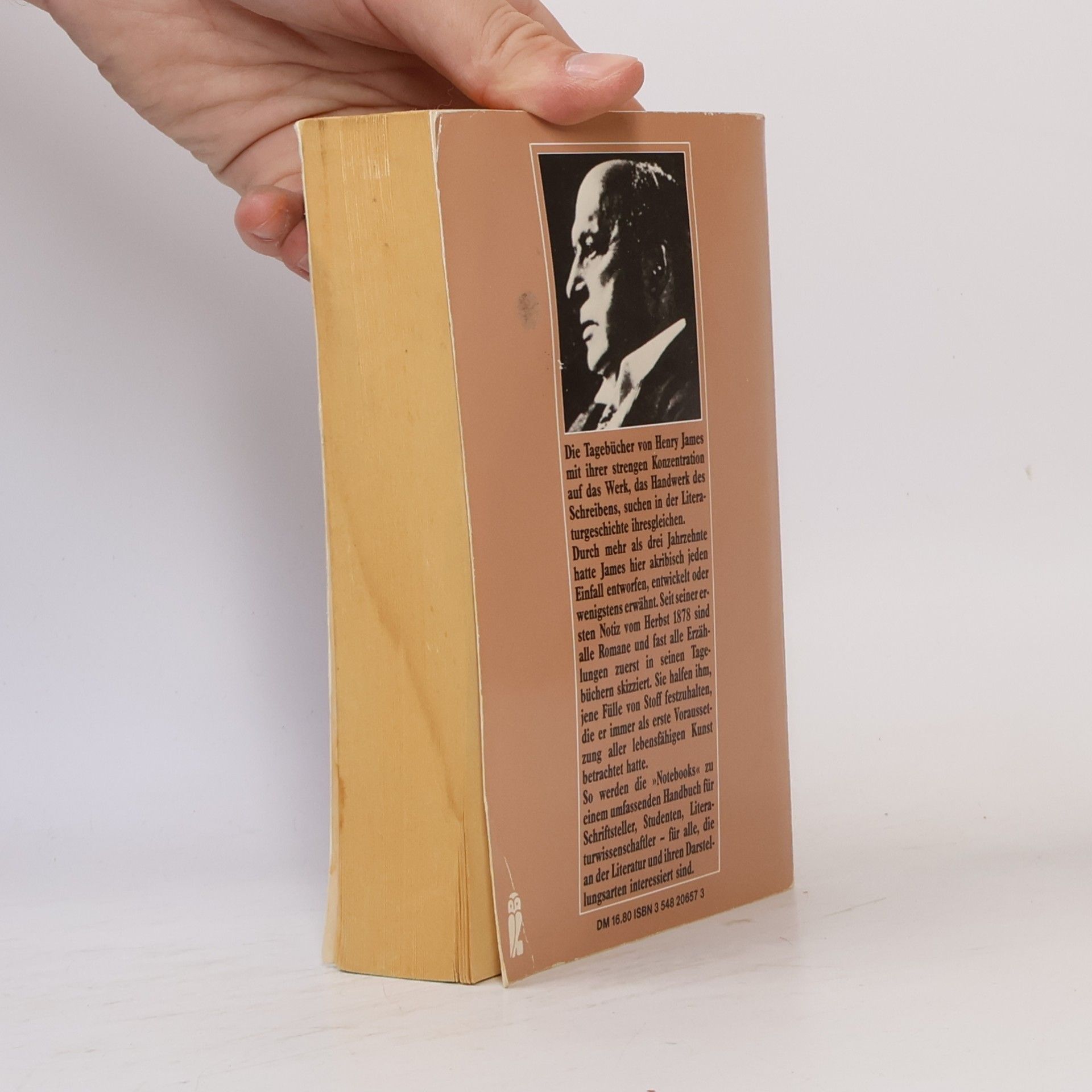 Henry James Tagebuch eines Schriftstellers