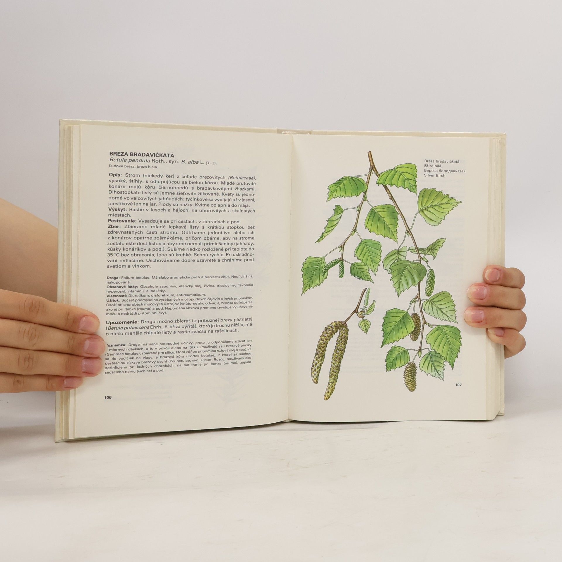 Ludmila Thurzová Malý atlas liečivých rostlín