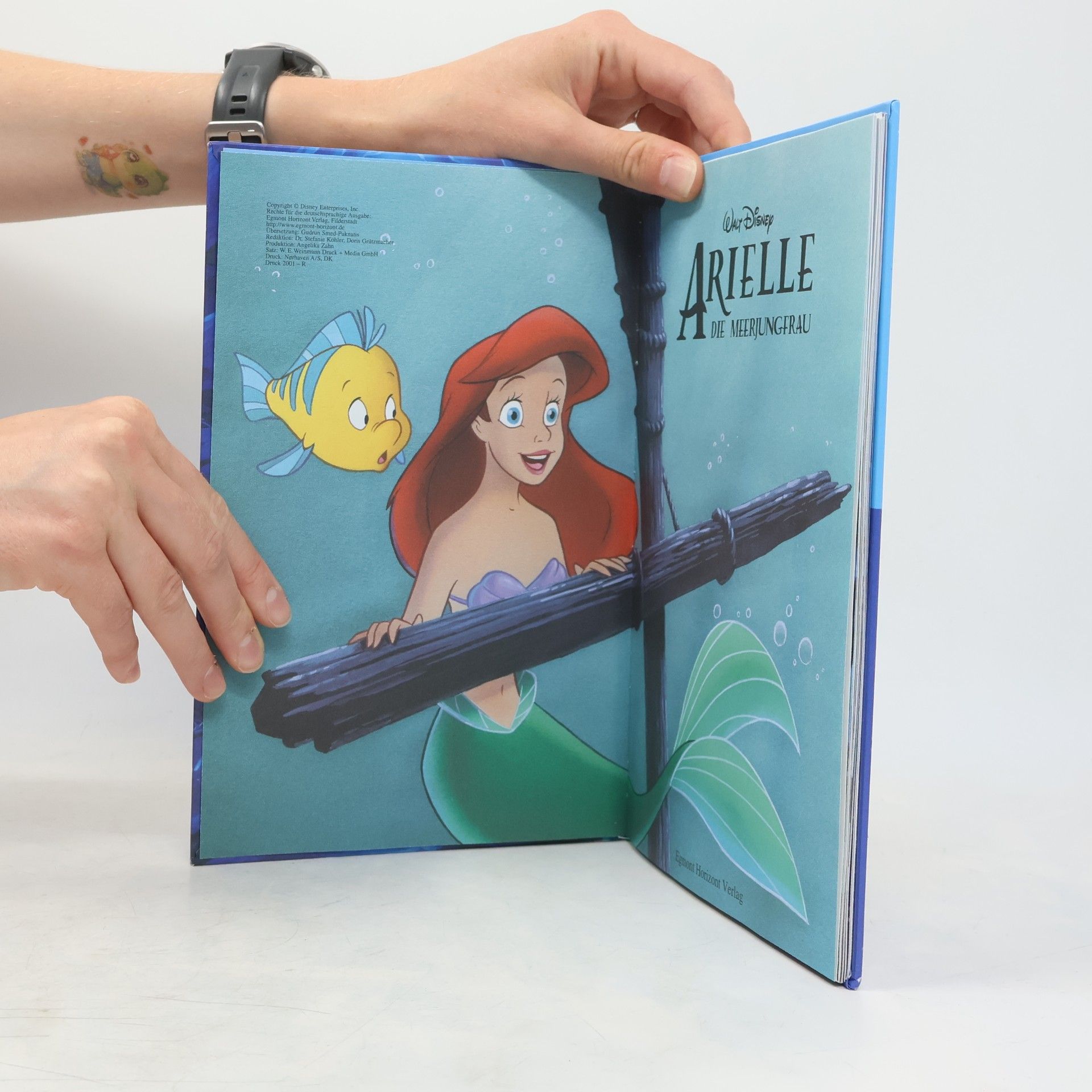 Autorenkollektiv Arielle die Meerjungfrau