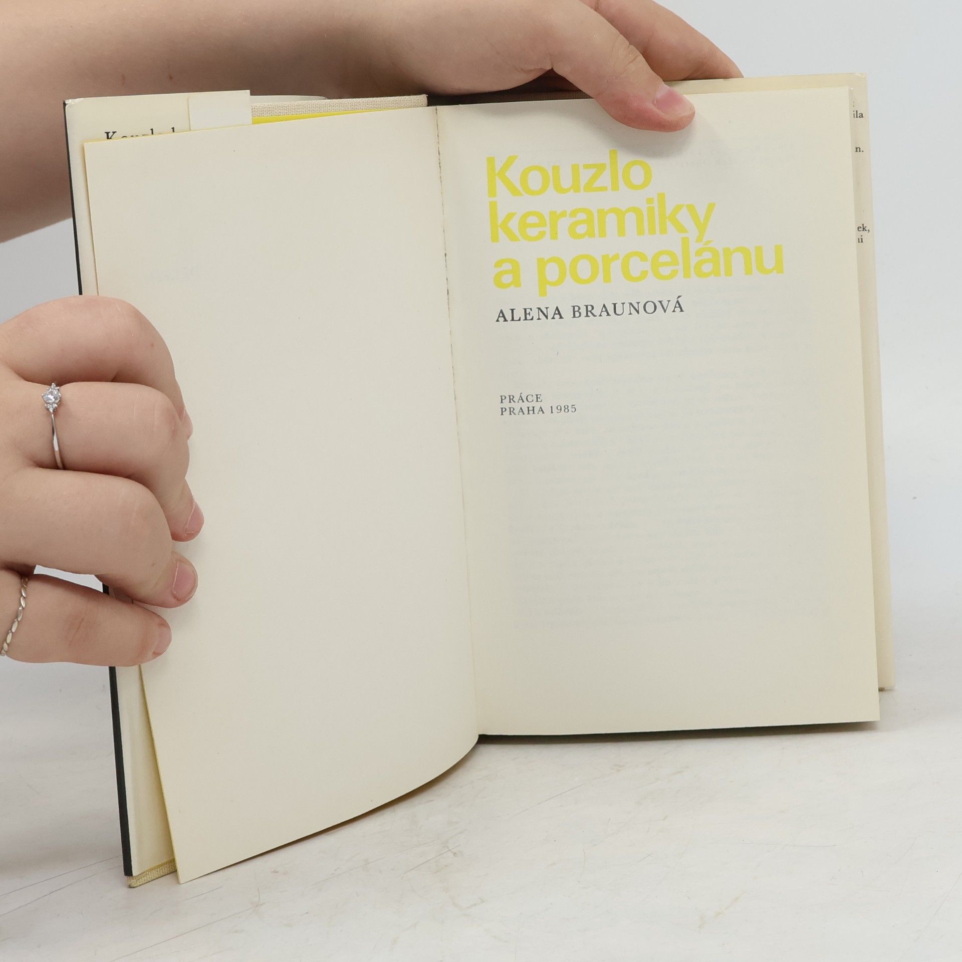 Alena Braunová Kouzlo keramiky a porcelánu