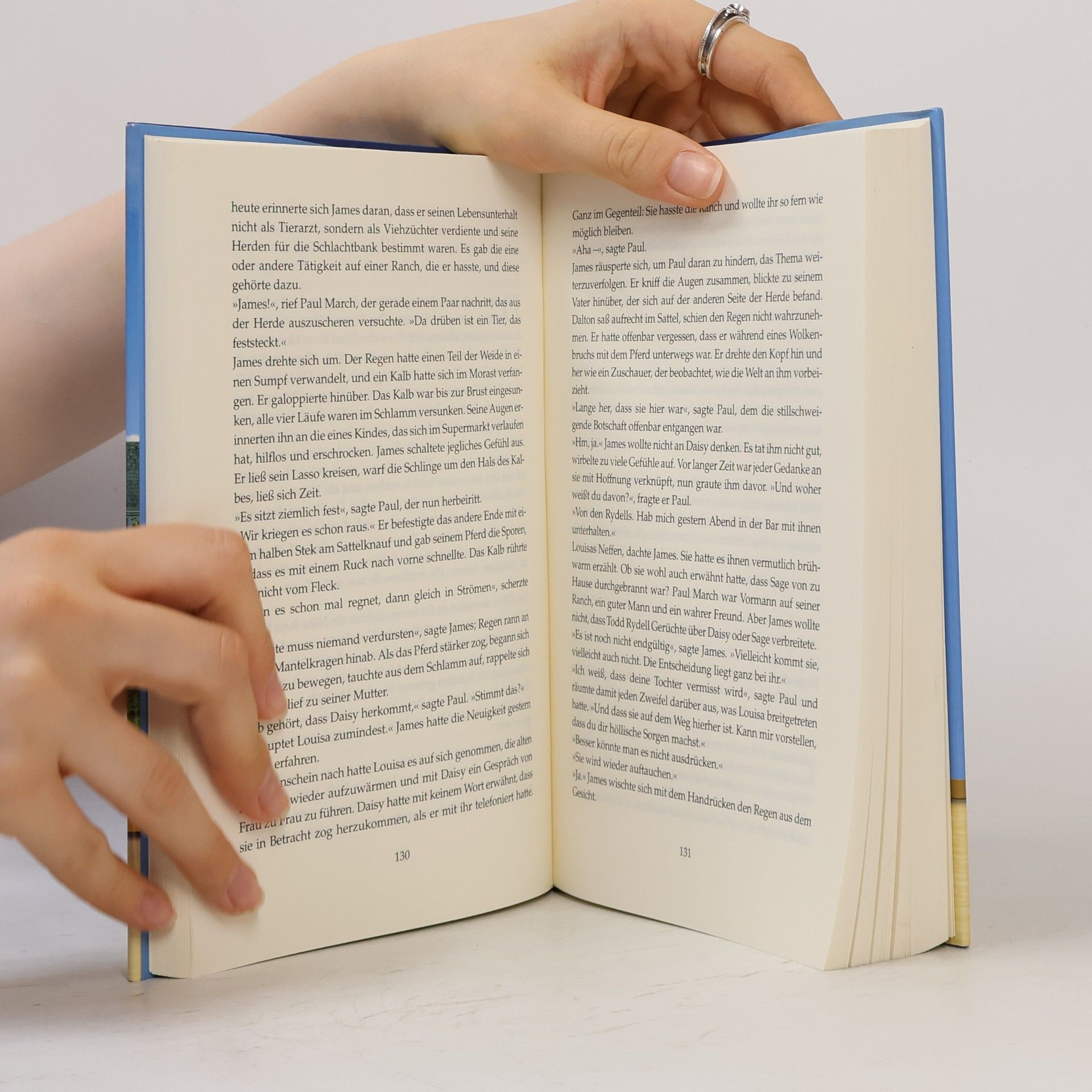 Luanne Rice Wo die Sehnsucht das Herz berührt