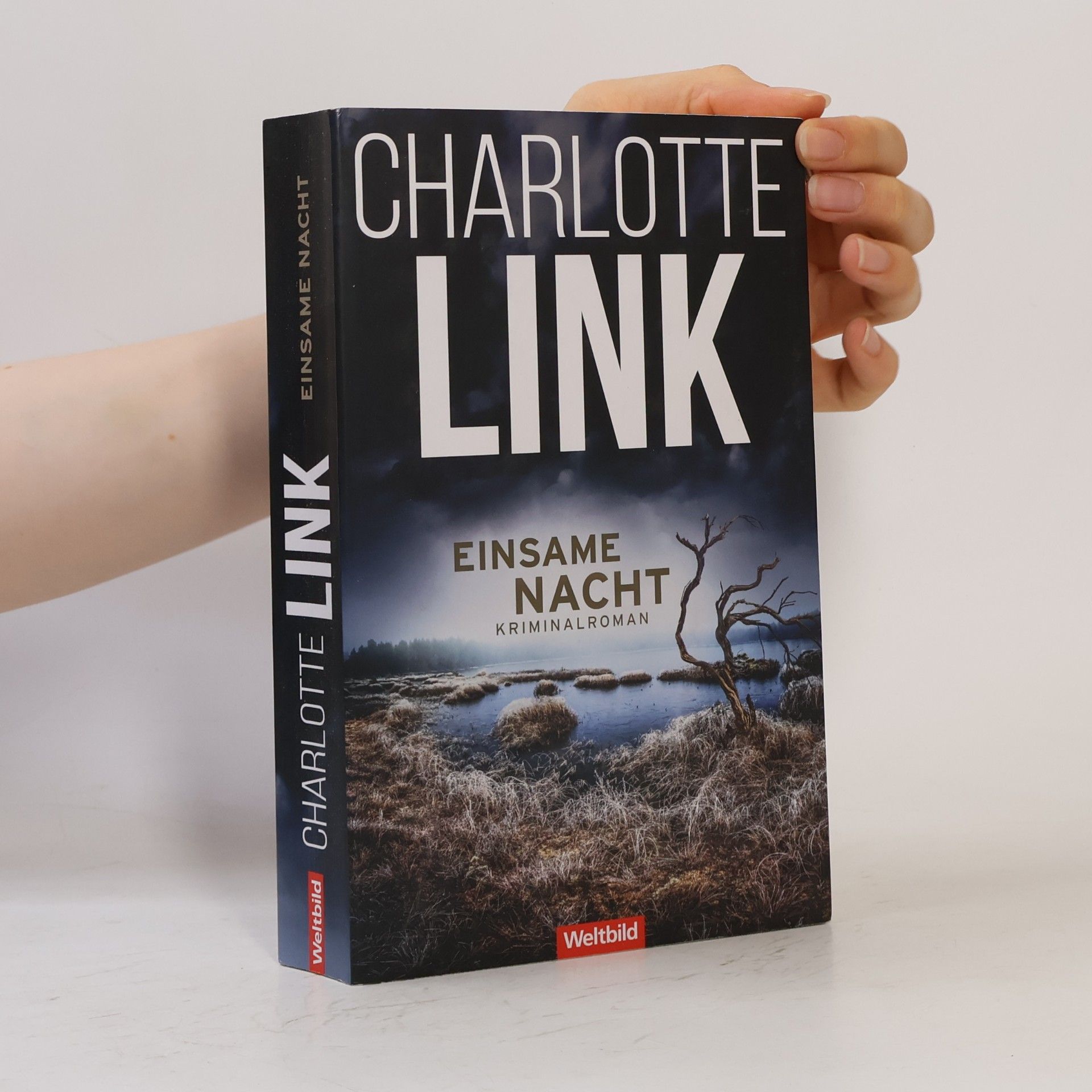 Charlotte Link Einsame Nacht
