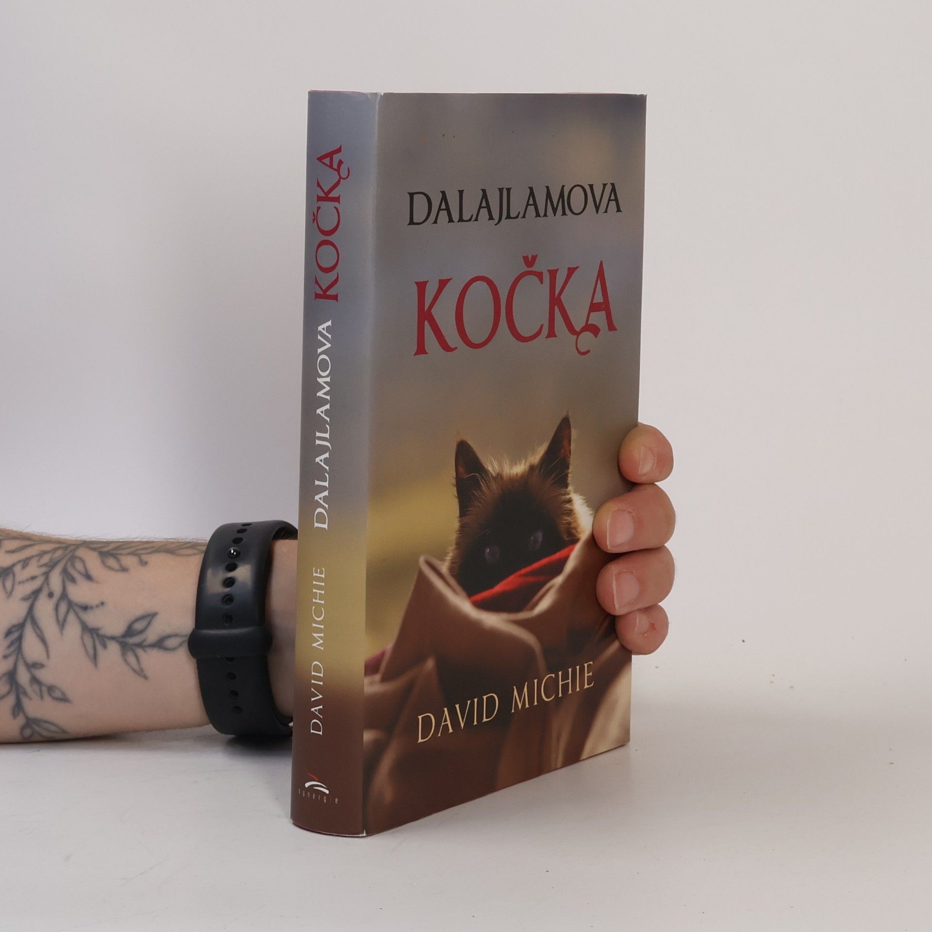 David Michie Dalajlamova kočka