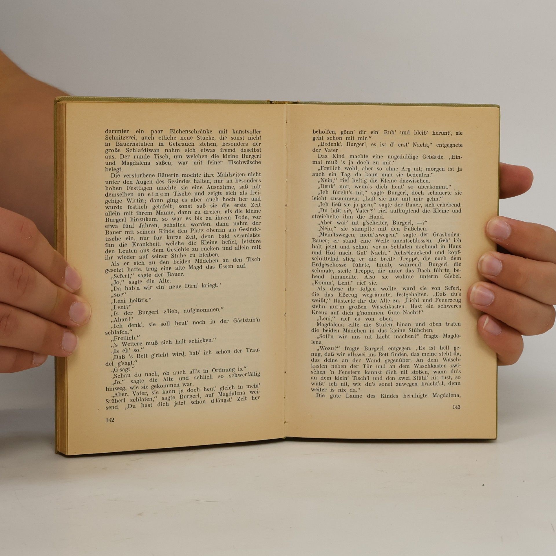 Ludwig Anzengruber Der Schandfleck