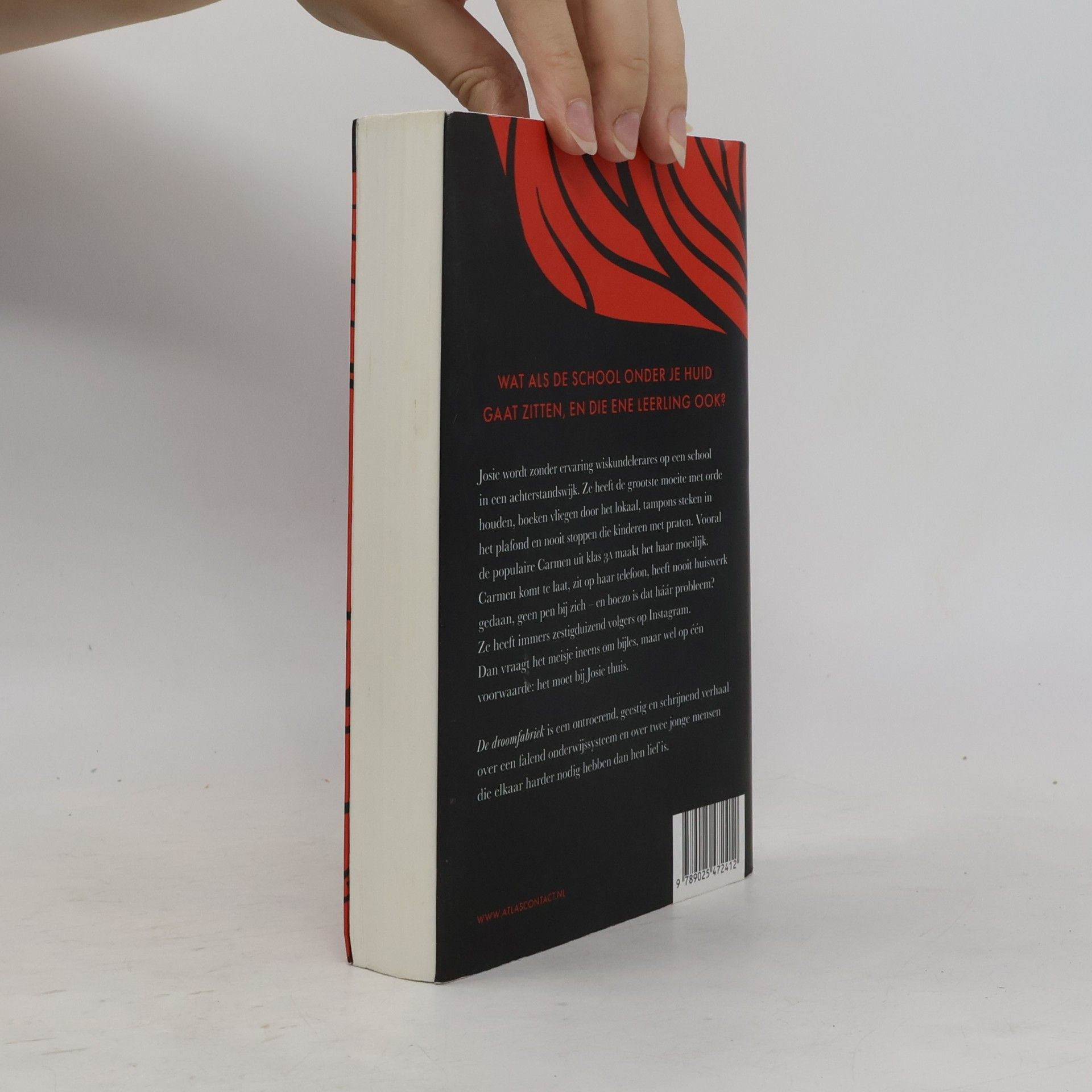 Gerwin van der Werf De droomfabriek: roman