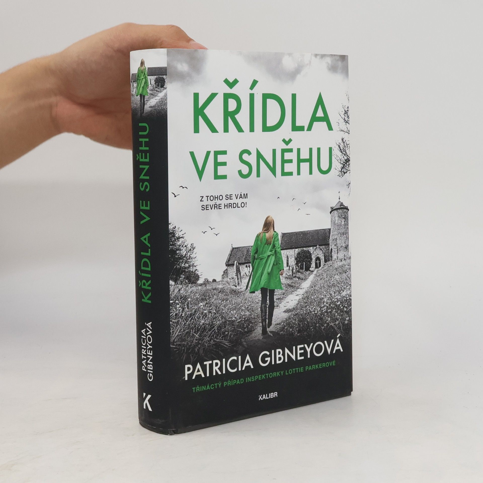 Křídla ve sněhu