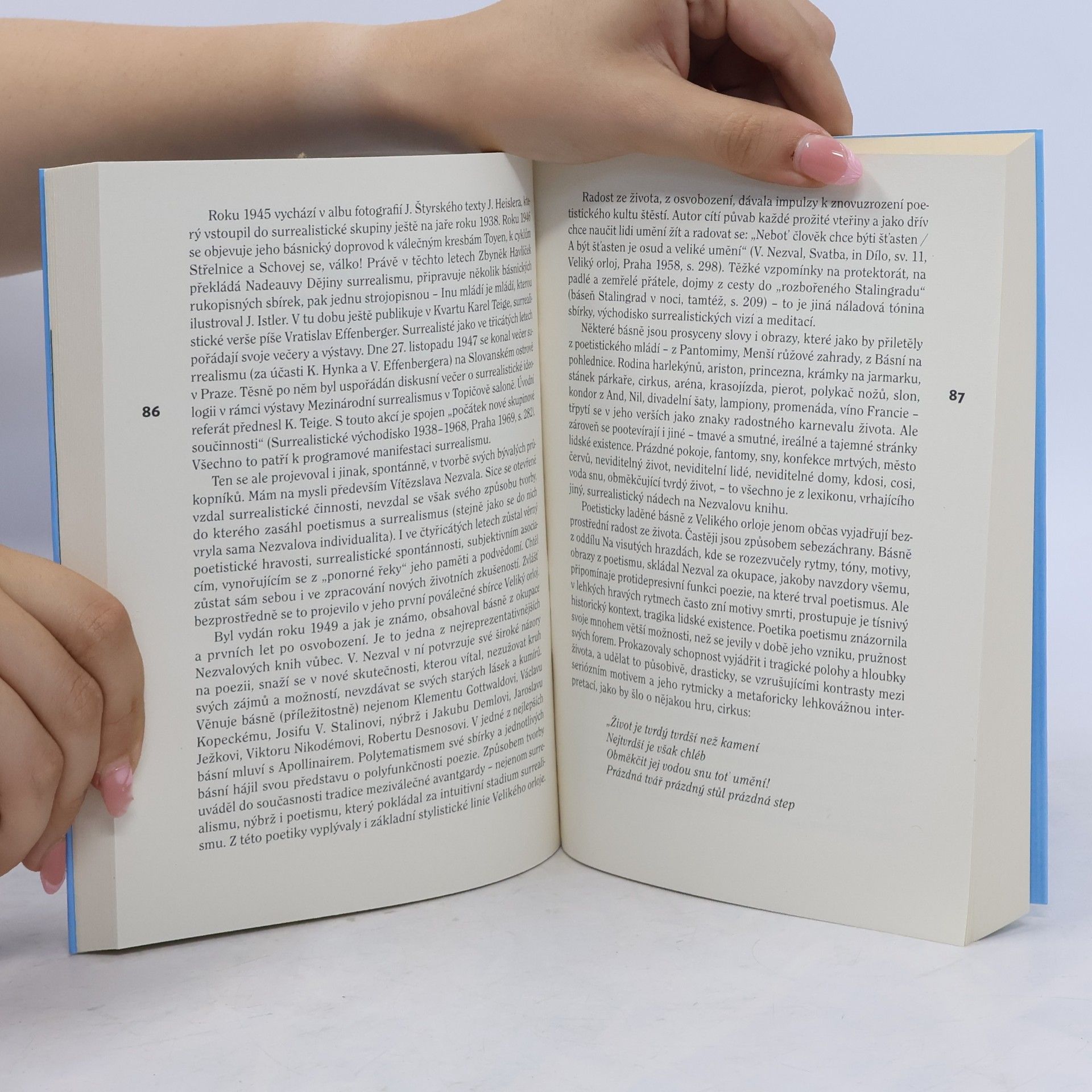 Ludmila Budagovová Z mého života s českou literaturou