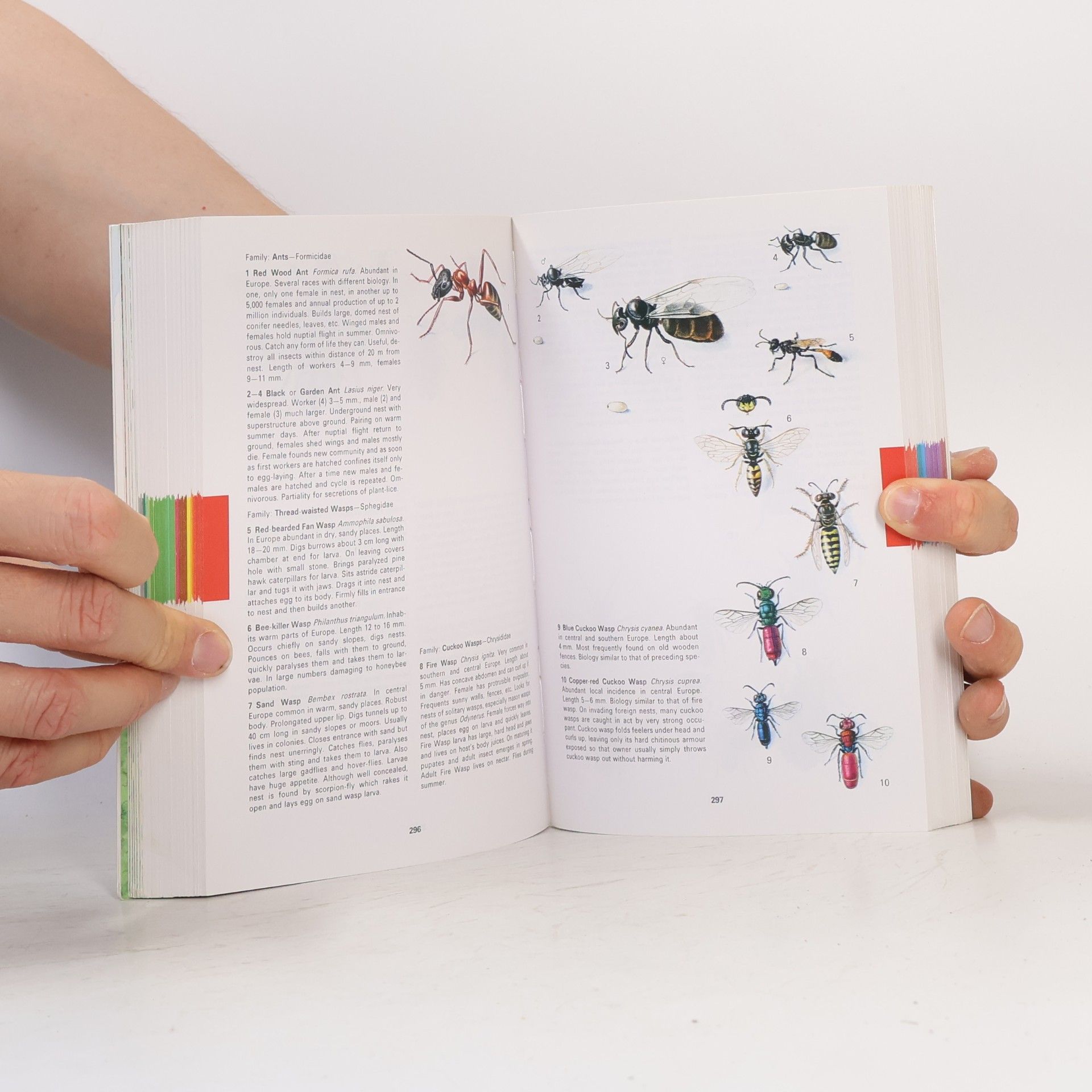Jan Toman Plants and animals