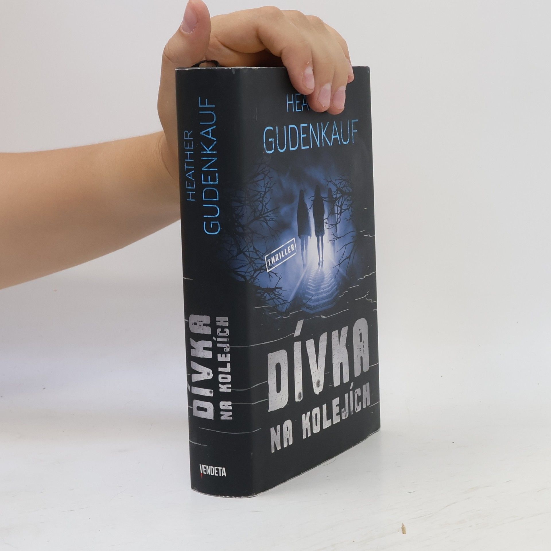 Heather Gudenkauf Dívka na kolejích