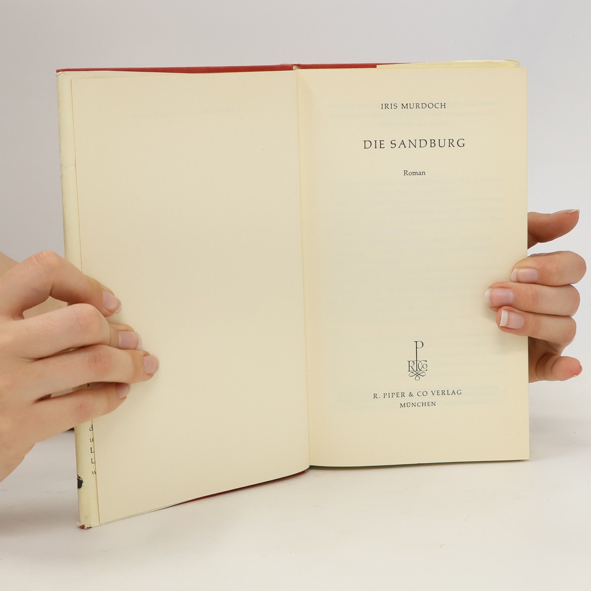 Iris Murdoch Die Sandburg