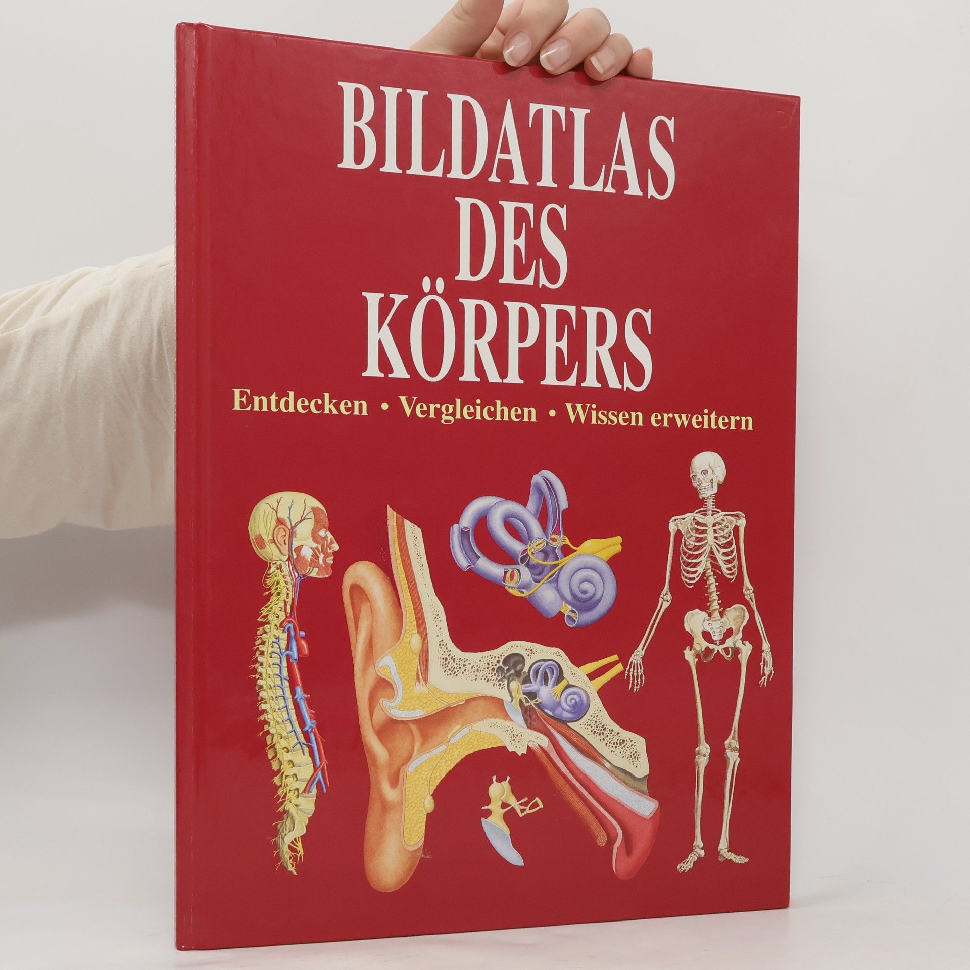 kolektiv Bildatlas des Körpers