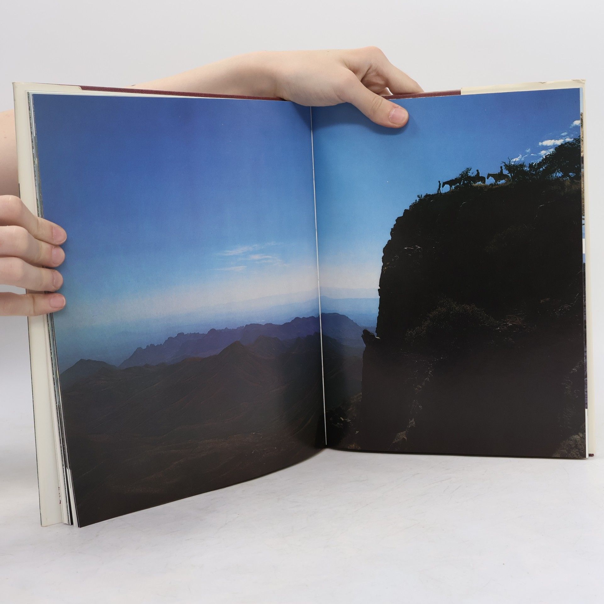 Tommie Pinkard Louise Lindsey Merrick Natural Environment Series - 3: Landscapes of Texas