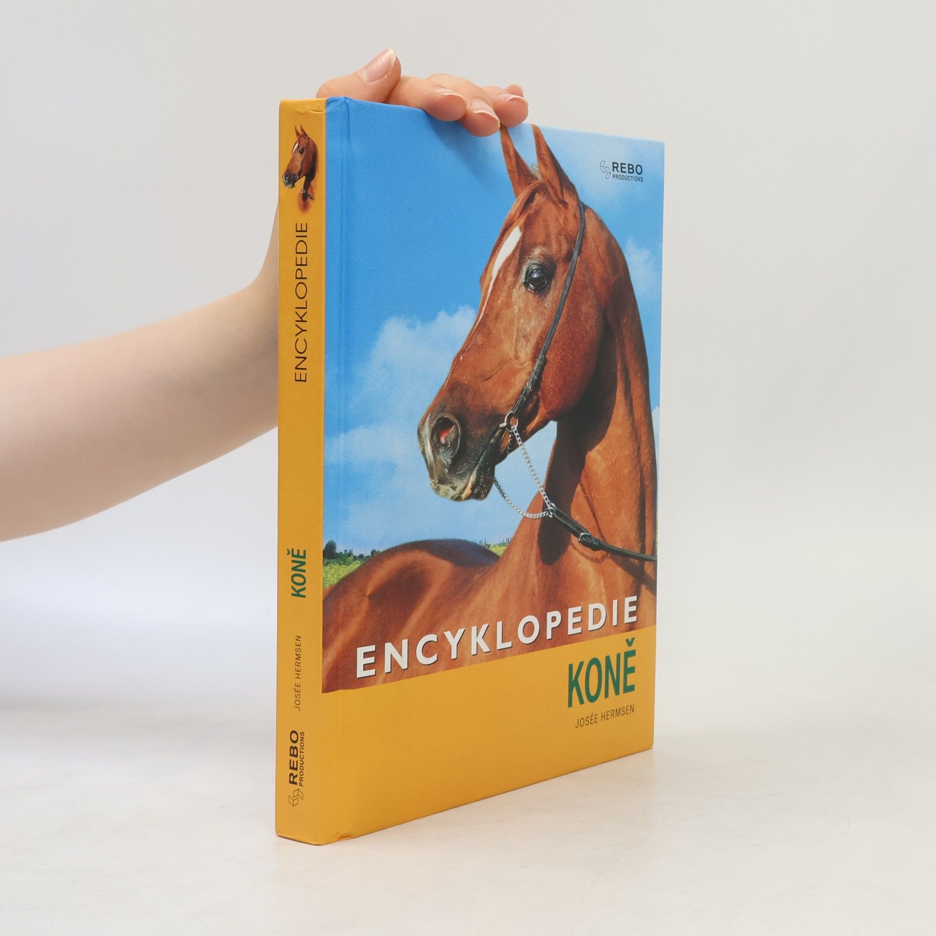 Kateřina Hlavová Koně : encyklopedie