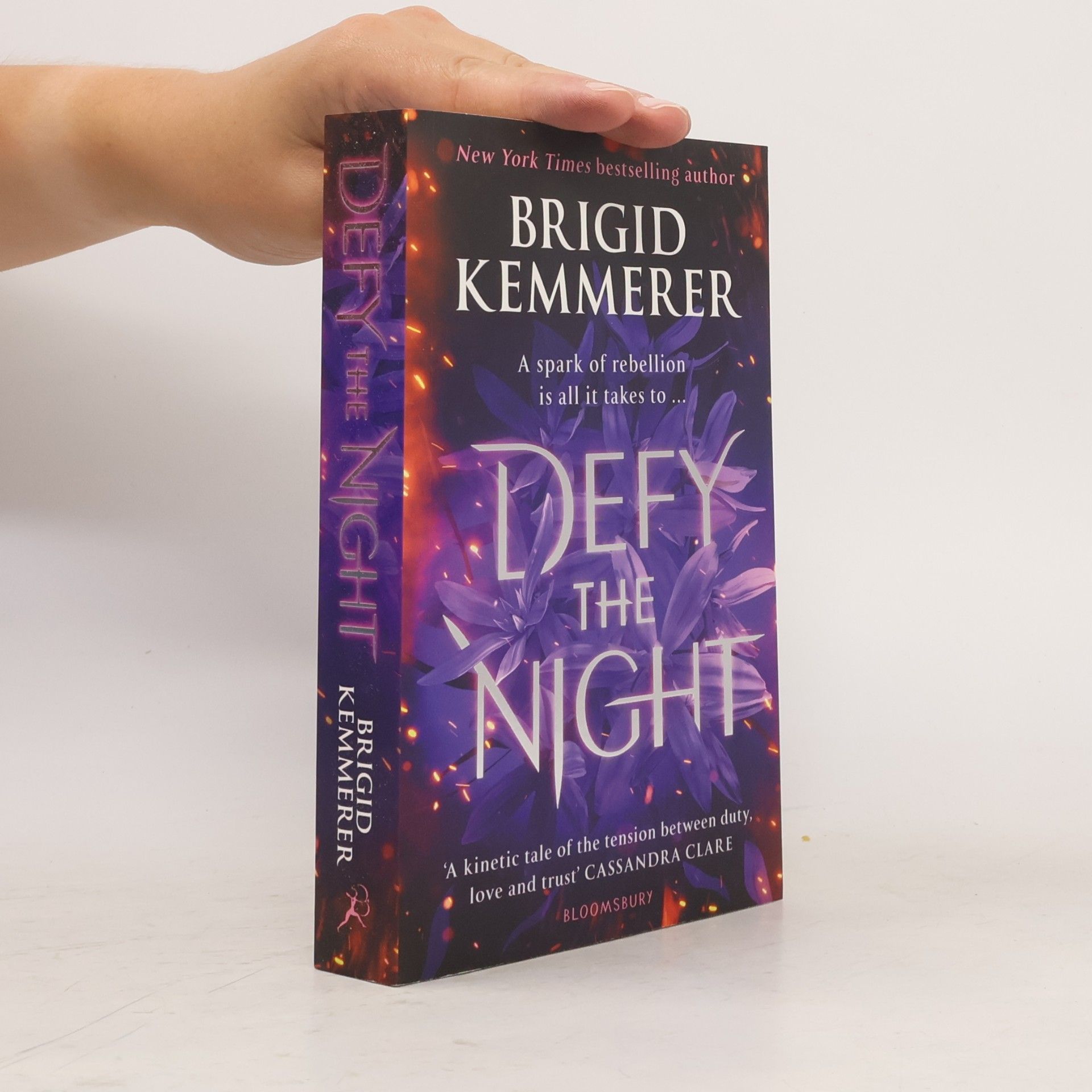 Brigid Kemmerer Defy The Night