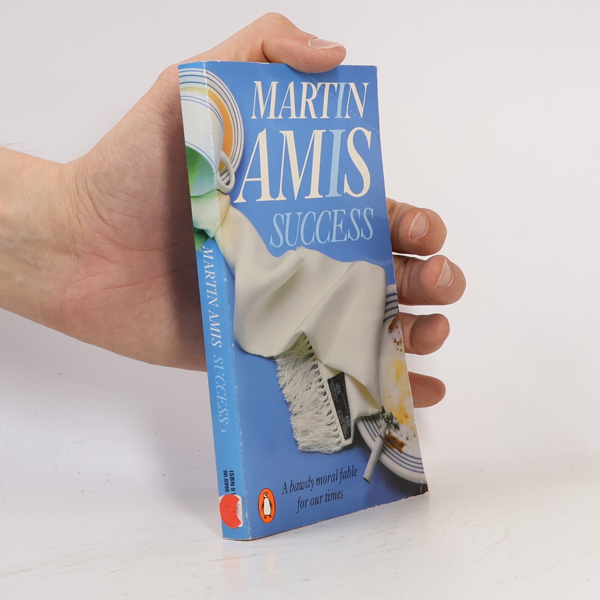 Martin Amis Success