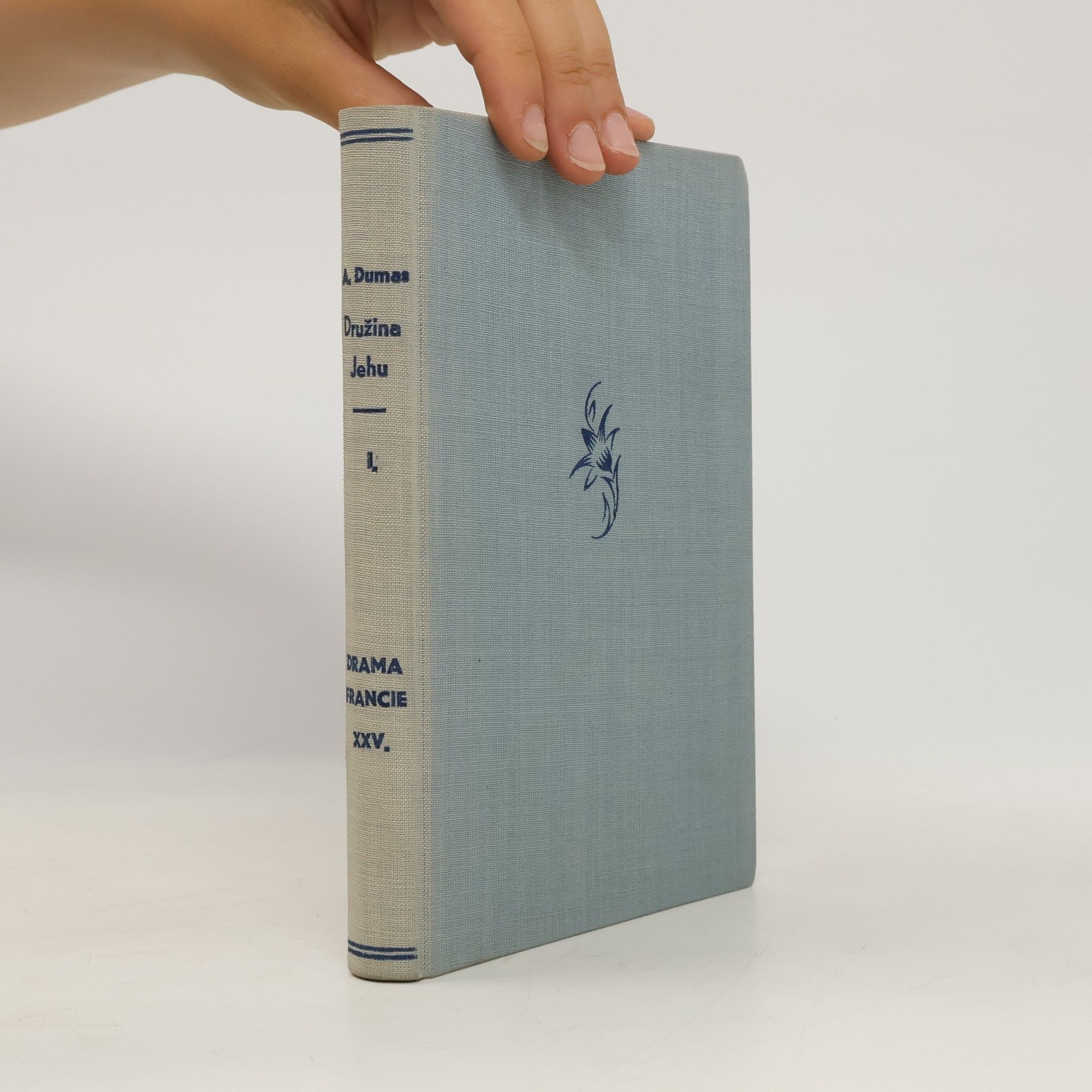 Alexandre Dumas der Ältere Družina Jehu I.