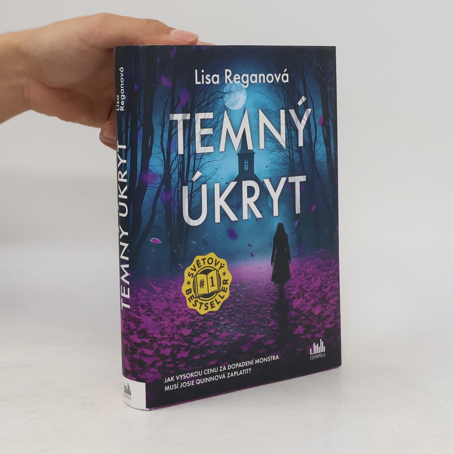 Lisa Regan Temný úkryt