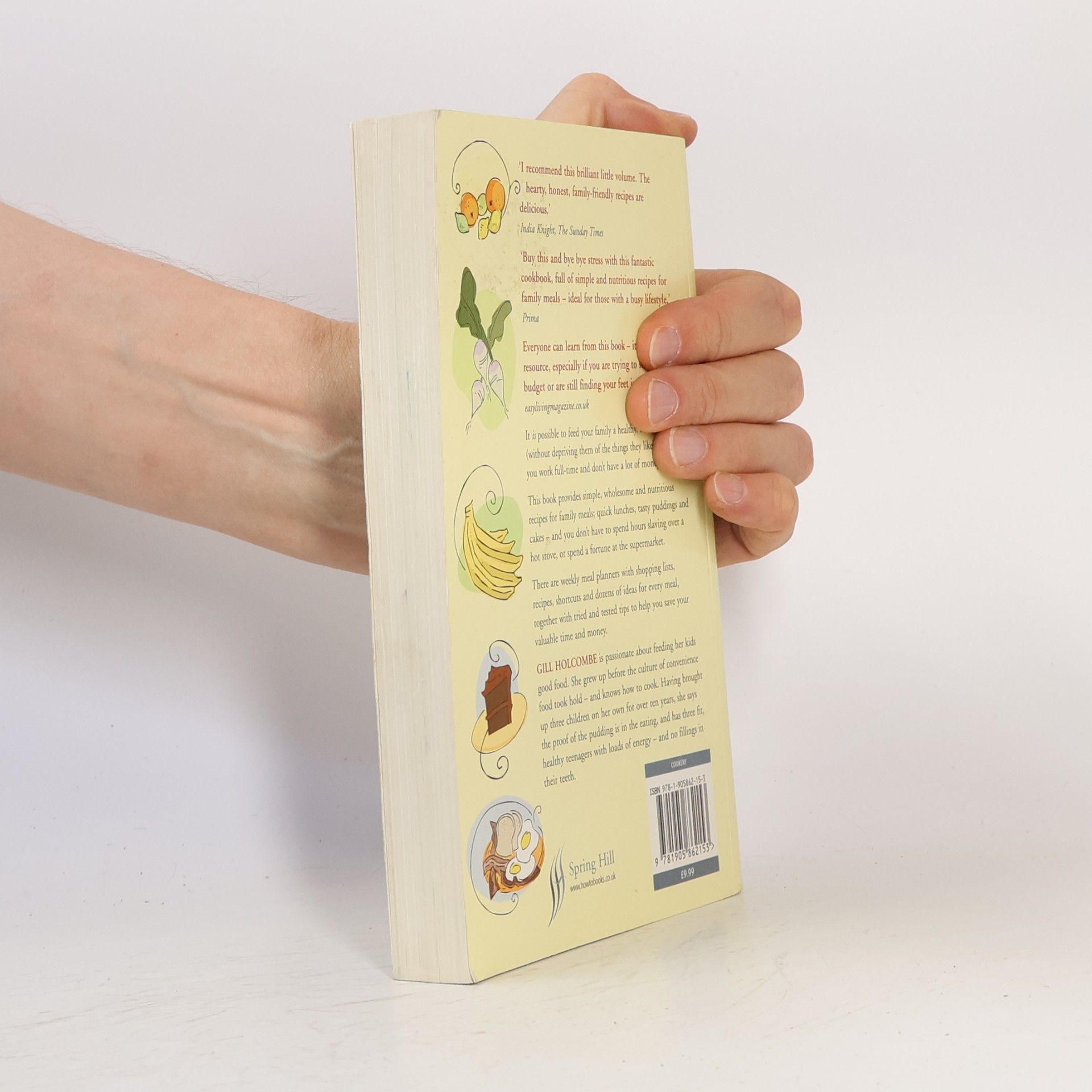 Gill Holcombe How to Feed Your Whole Family a Healthy, Balanced Diet with Very Little Money