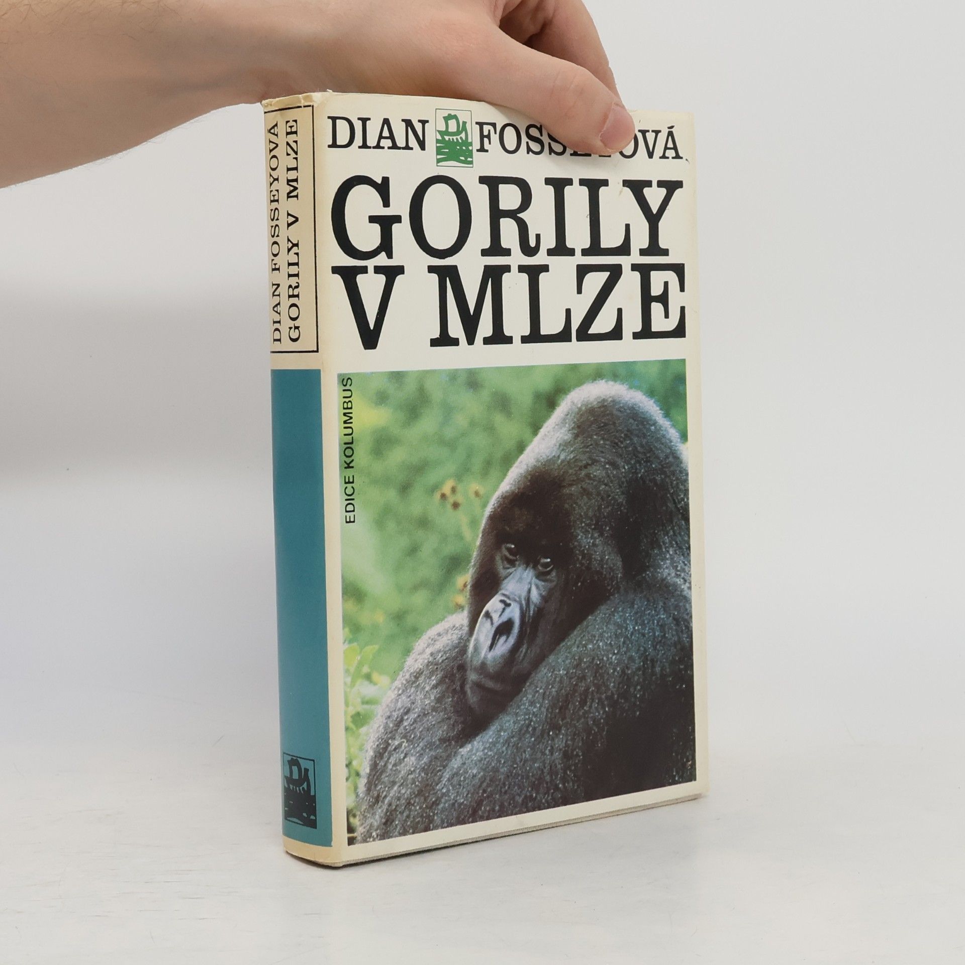 Dian Fossey Gorily v mlze