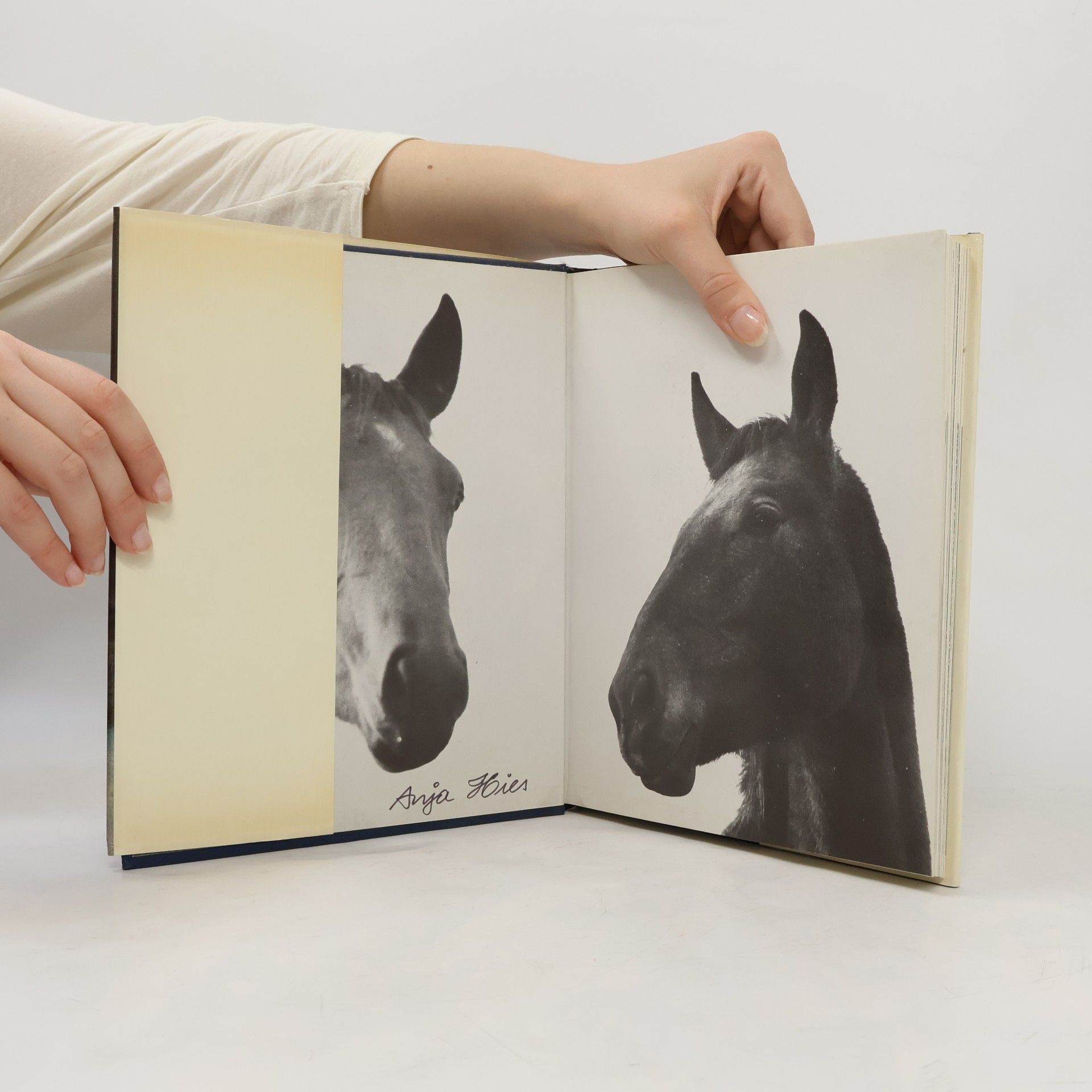 Autores varios Pferde lieben und verstehen