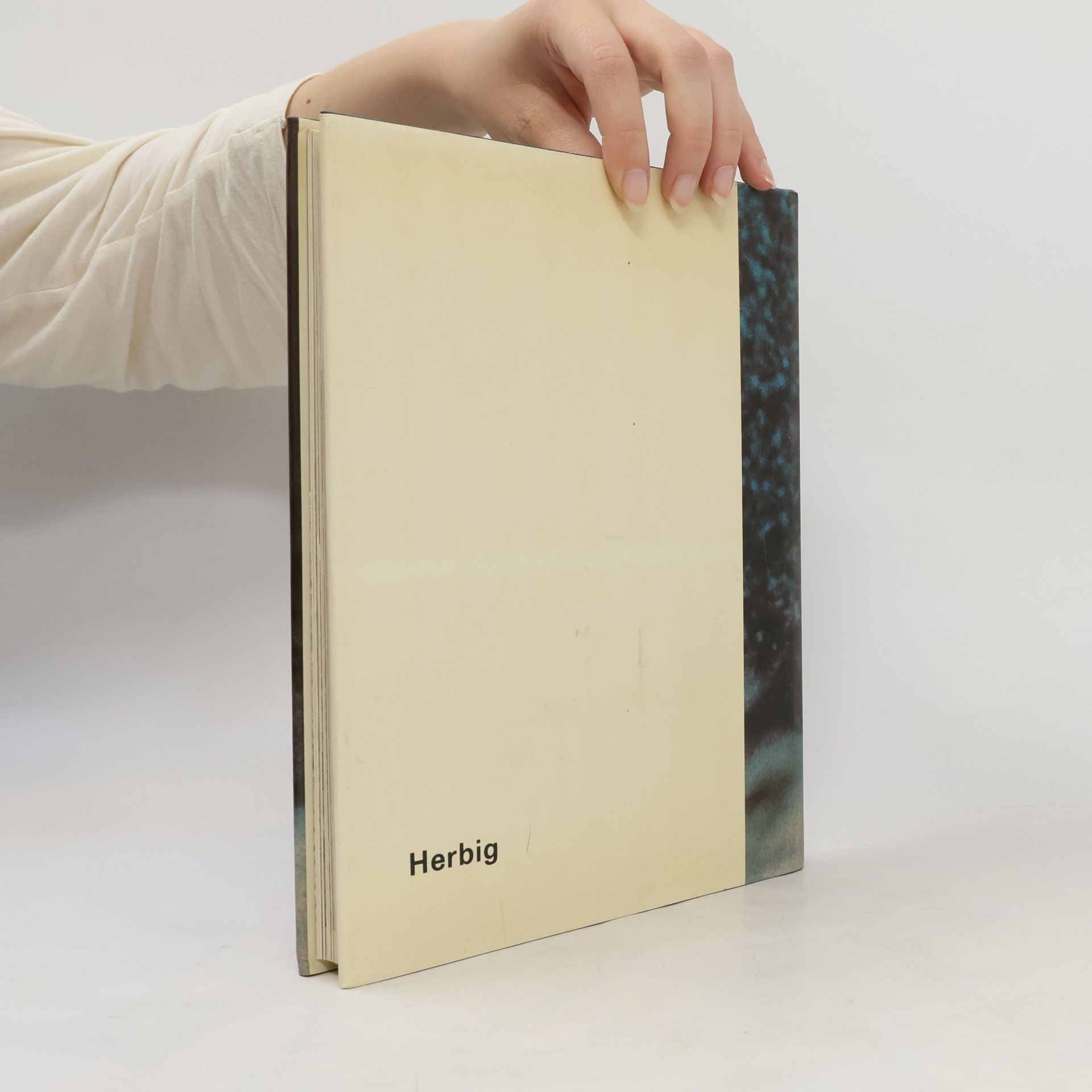 Autores varios Pferde lieben und verstehen