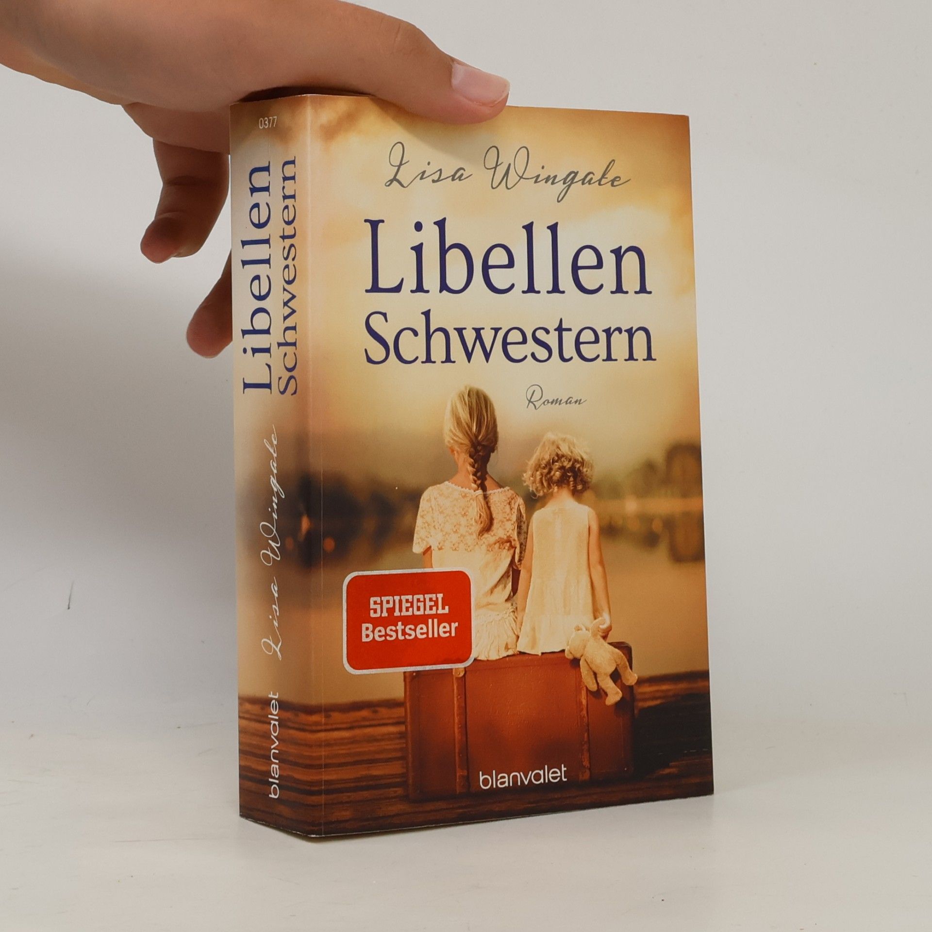 Lisa Wingate Libellenschwestern