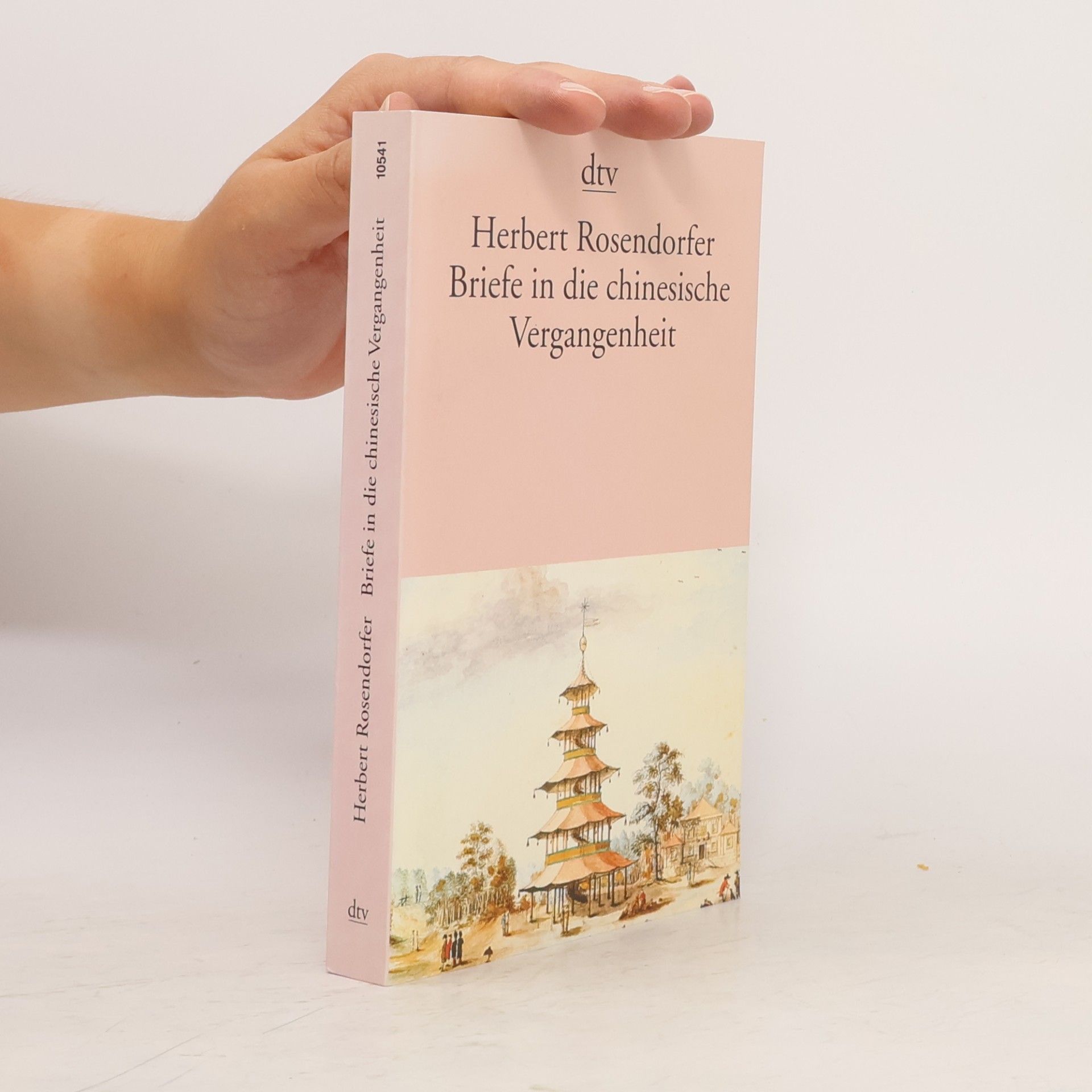 Briefe in die chinesische Vergangenheit