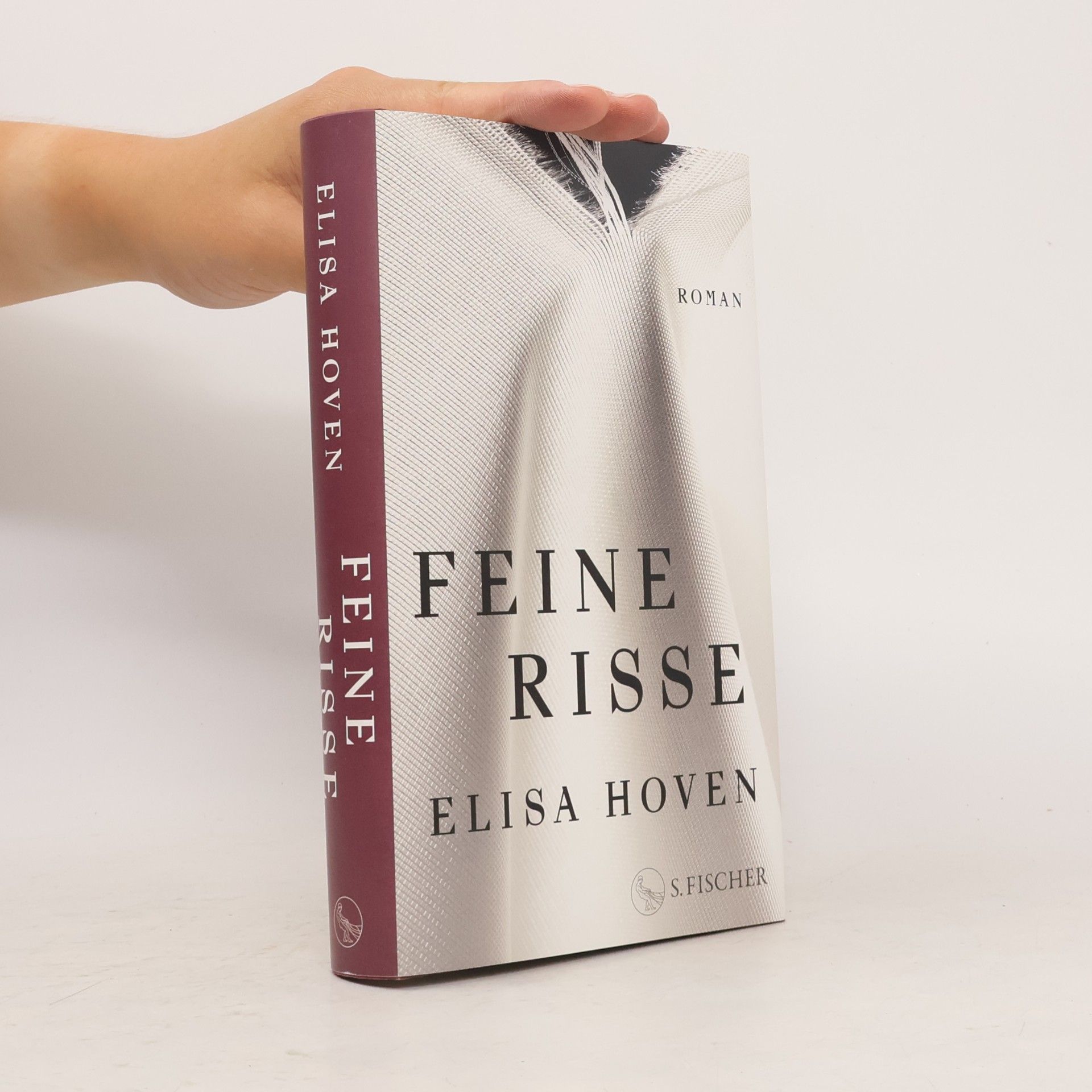 Elisa Hoven Feine Risse: Roman