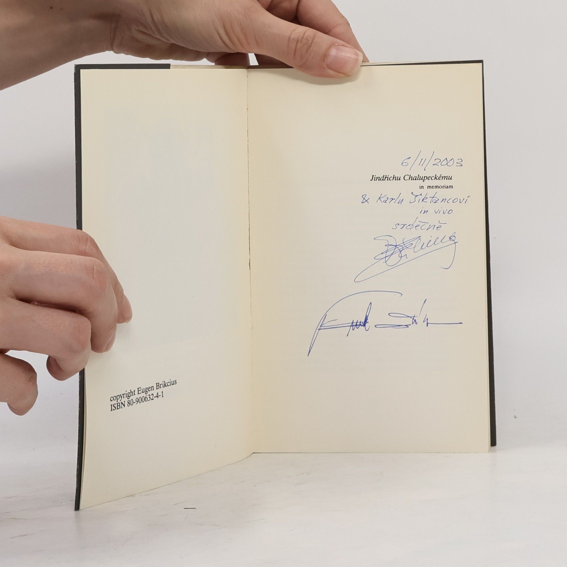 Eugen Brikcius Vyložení umělci, aneb, Kunsthistorické pohádky