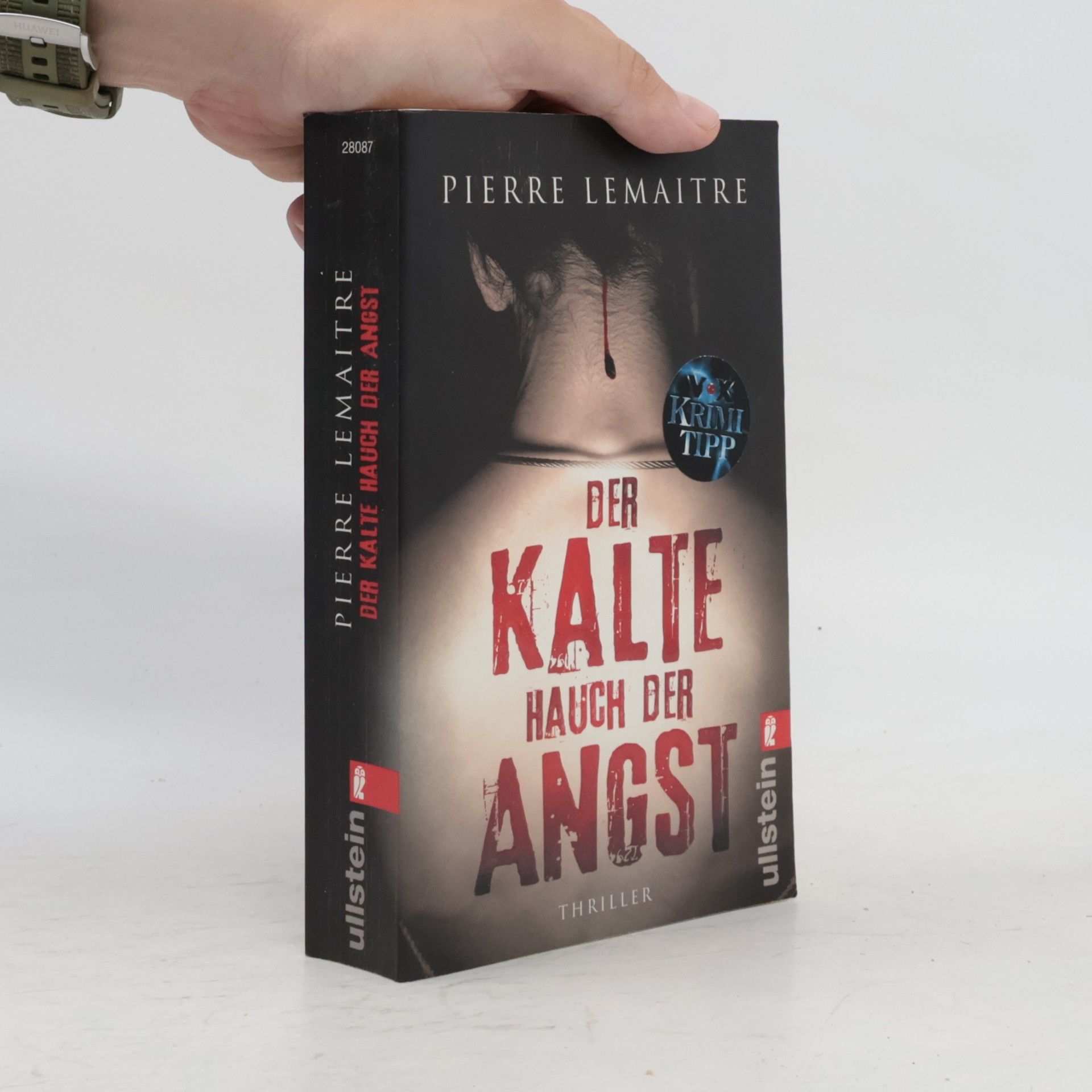 Pierre Lemaitre Der Kalte Hauch der Angst
