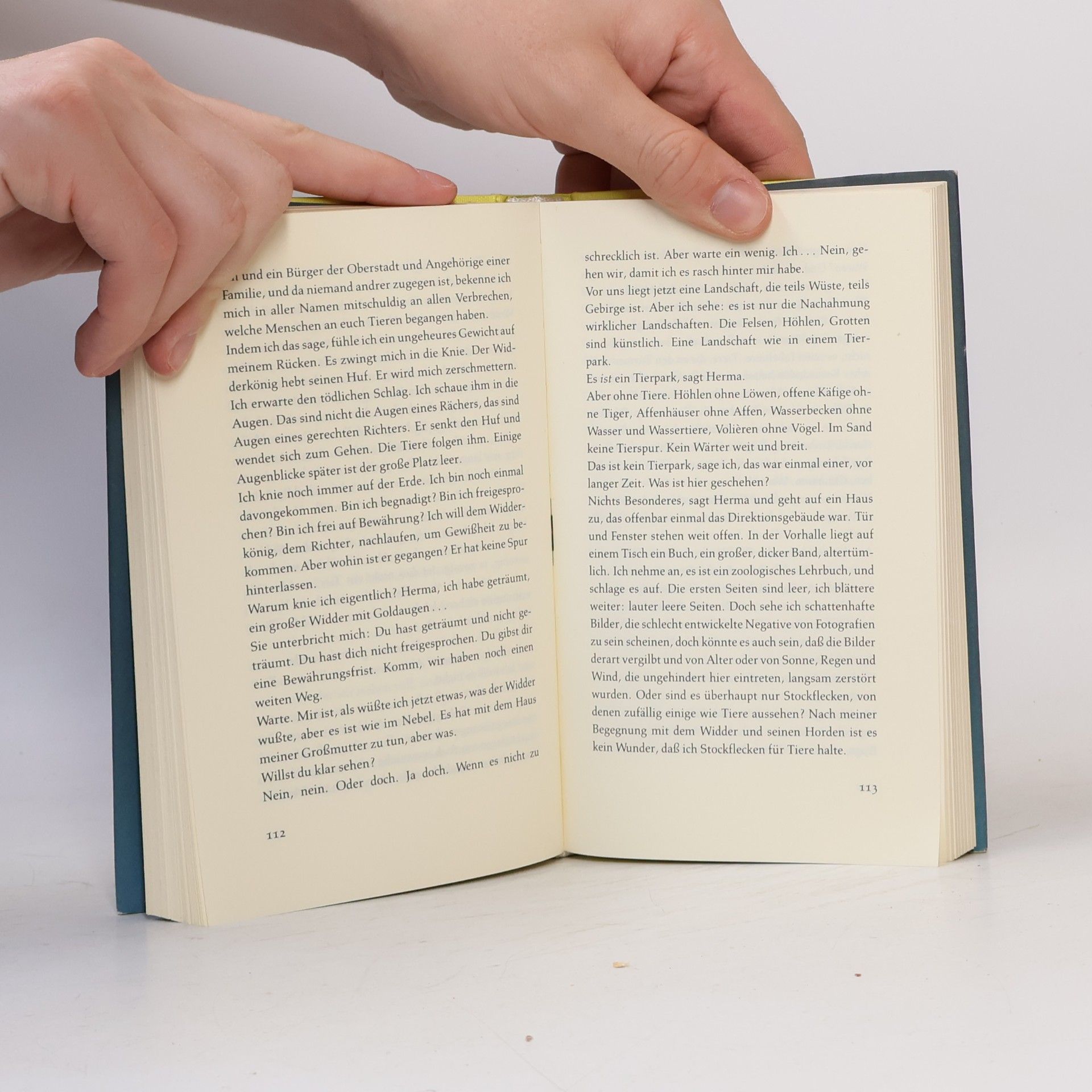 Luise Rinser Silberschuld