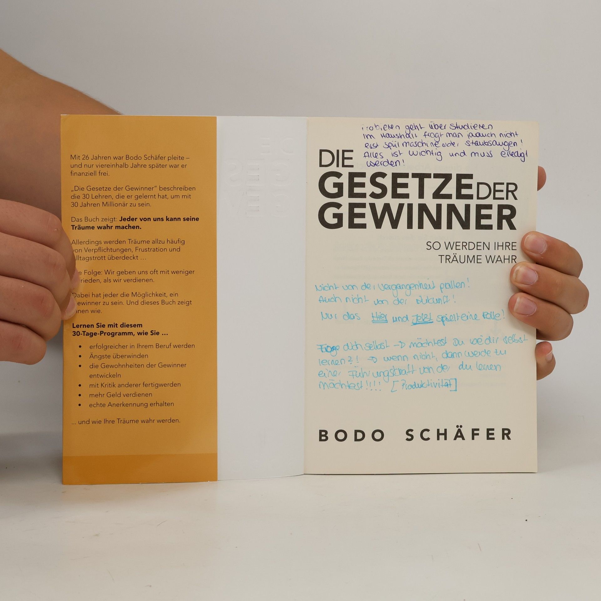 Bodo Schäfer Die Gesetze der Gewinner