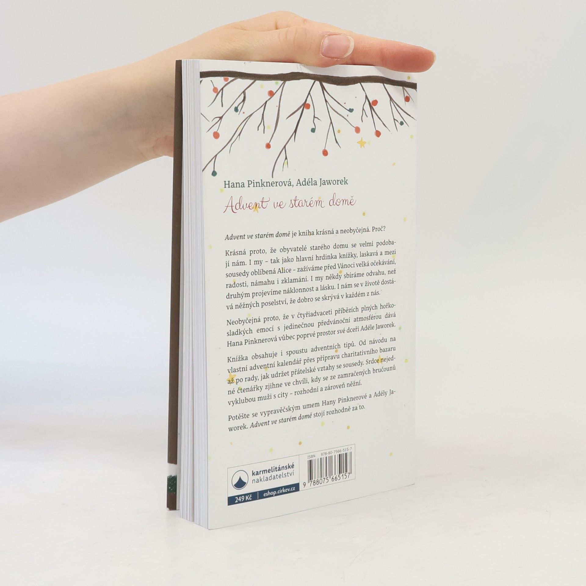 Hana Pinknerová Advent ve starém domě