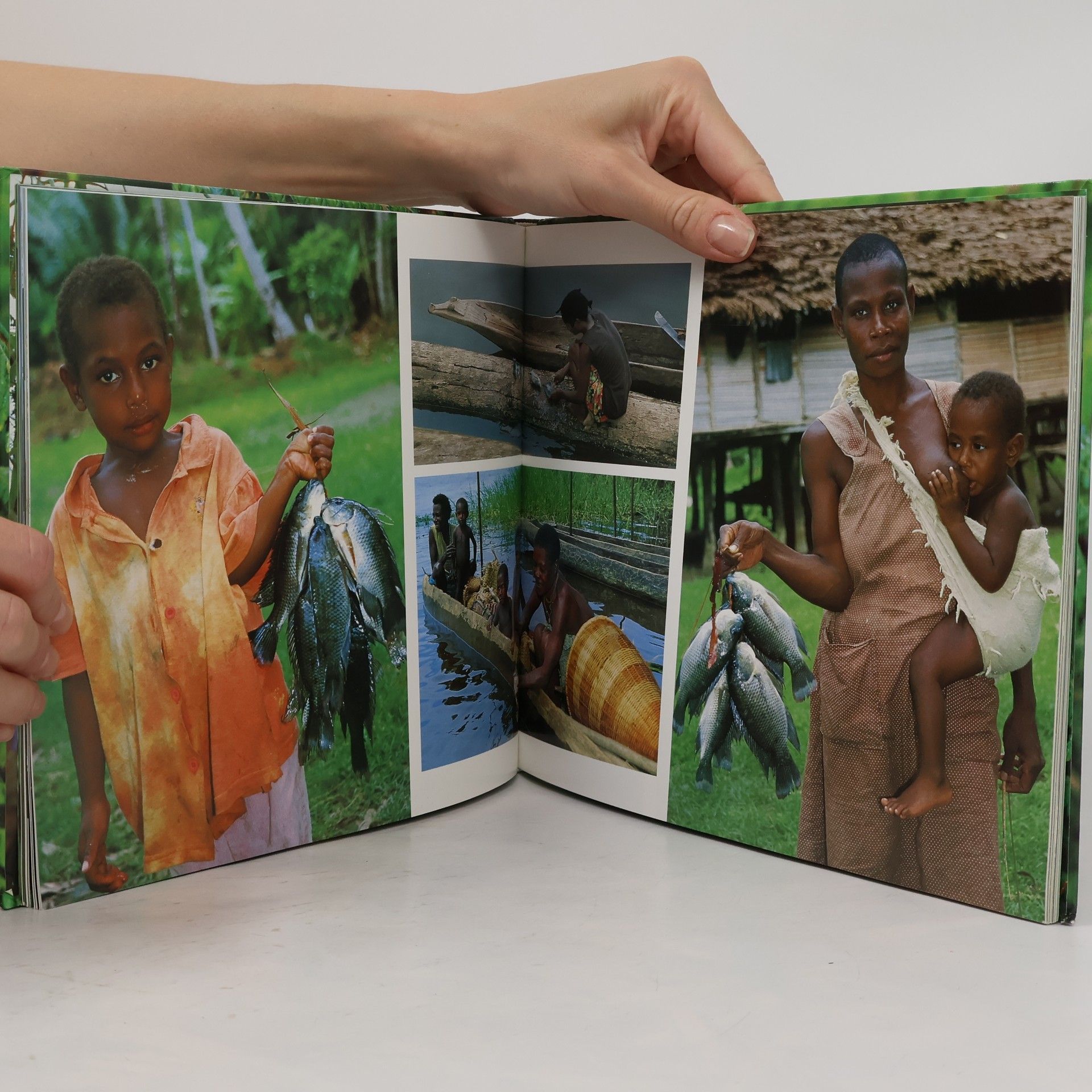 Bernhard Kittel Papua - Nová Guinea. Cestovní deník