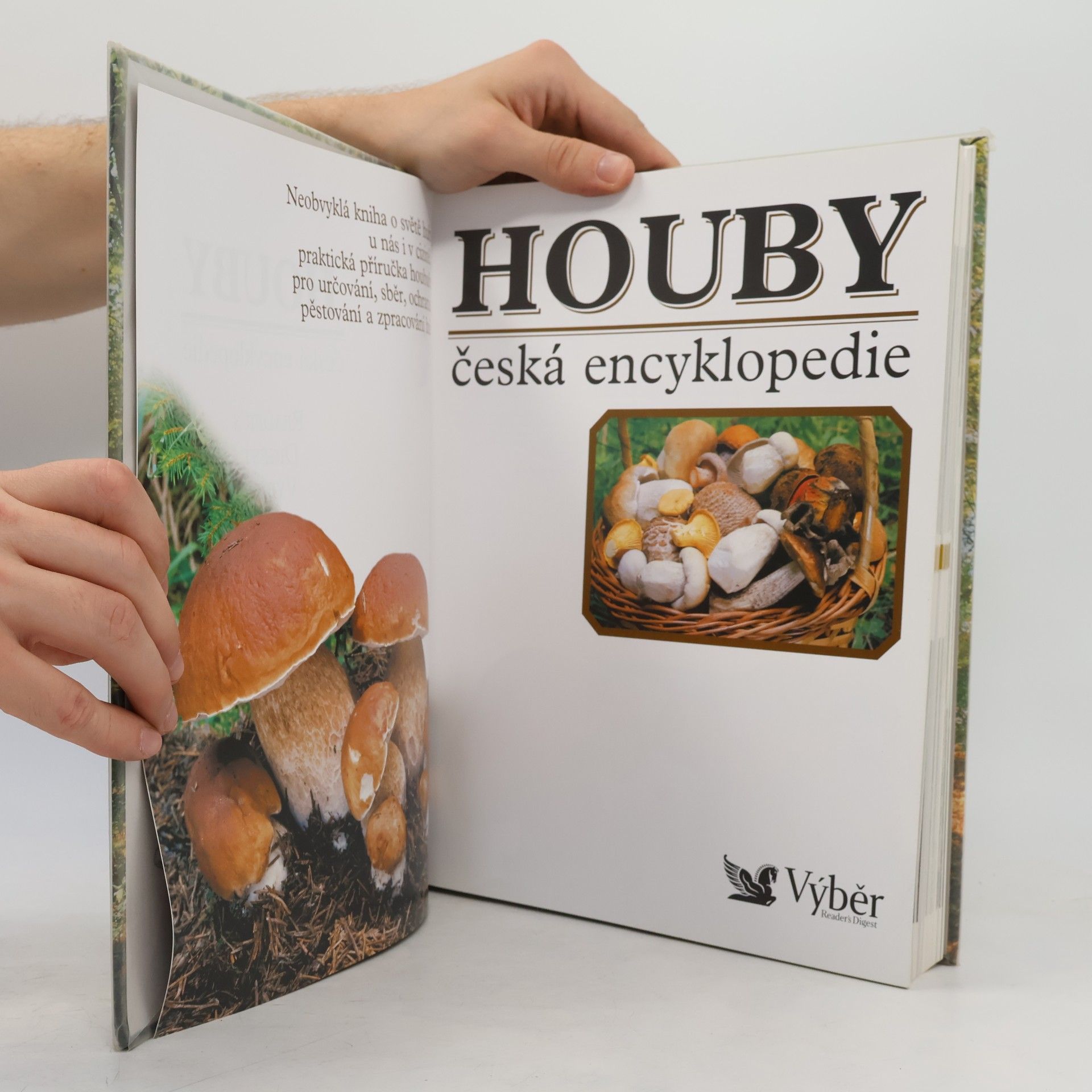 Vladimír Antonín Houby. Česká encyklopedie