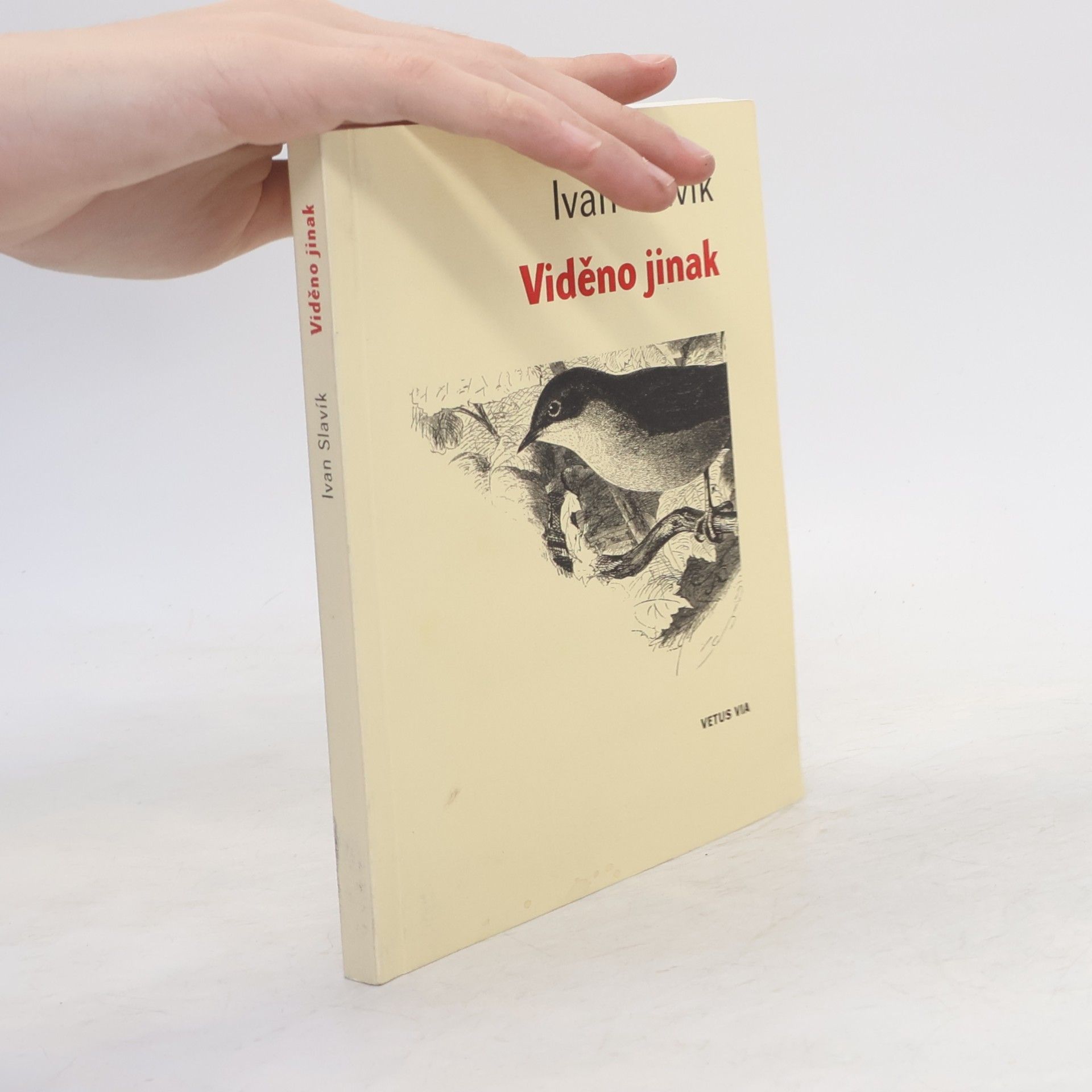 Viděno jinak