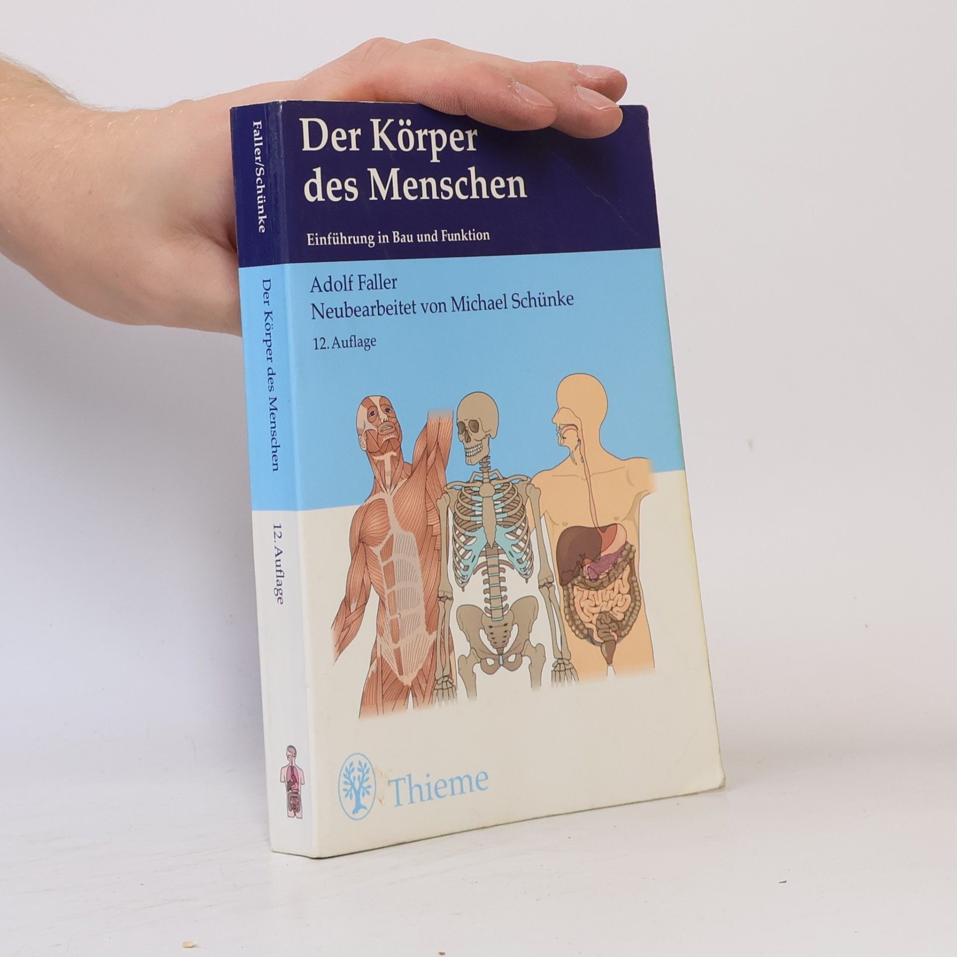 Der Körper des Menschen