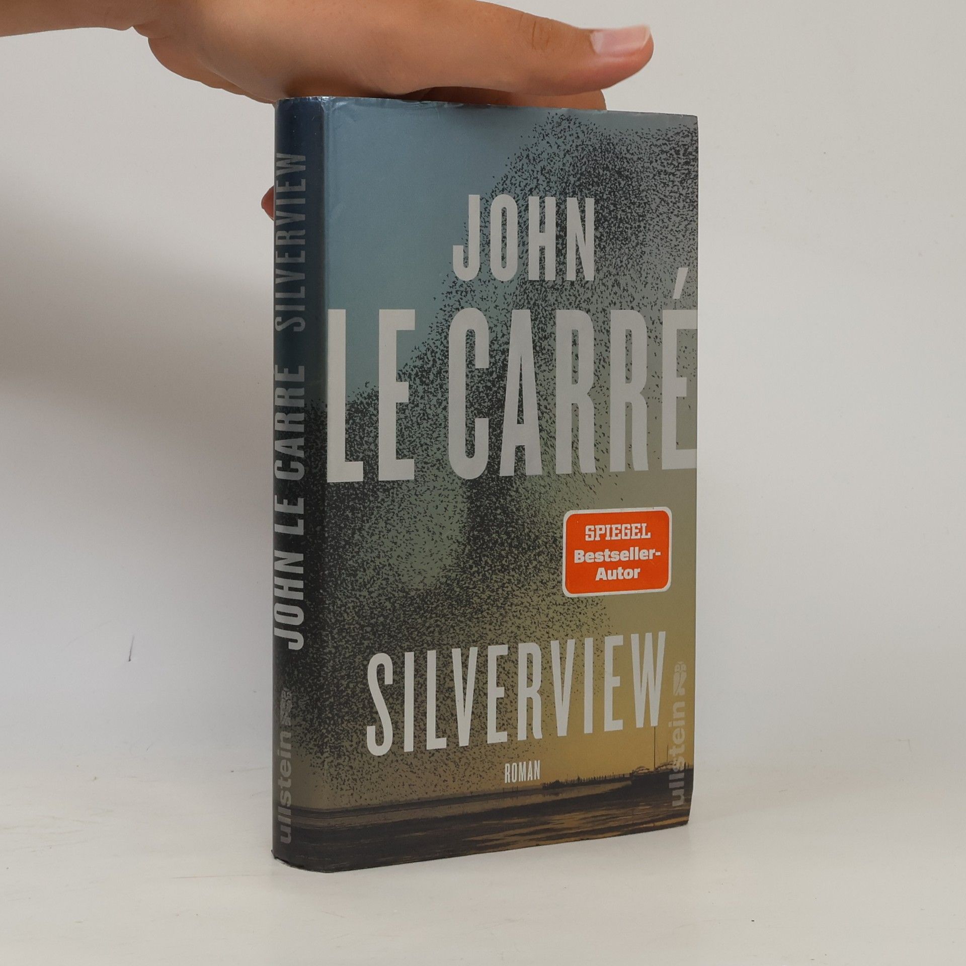 Silverview