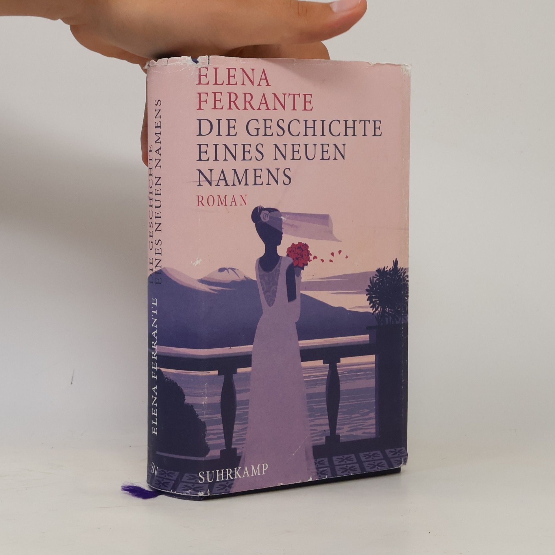 Elena Ferrante Die Geschichte eines neuen Namens: Jugendjahre