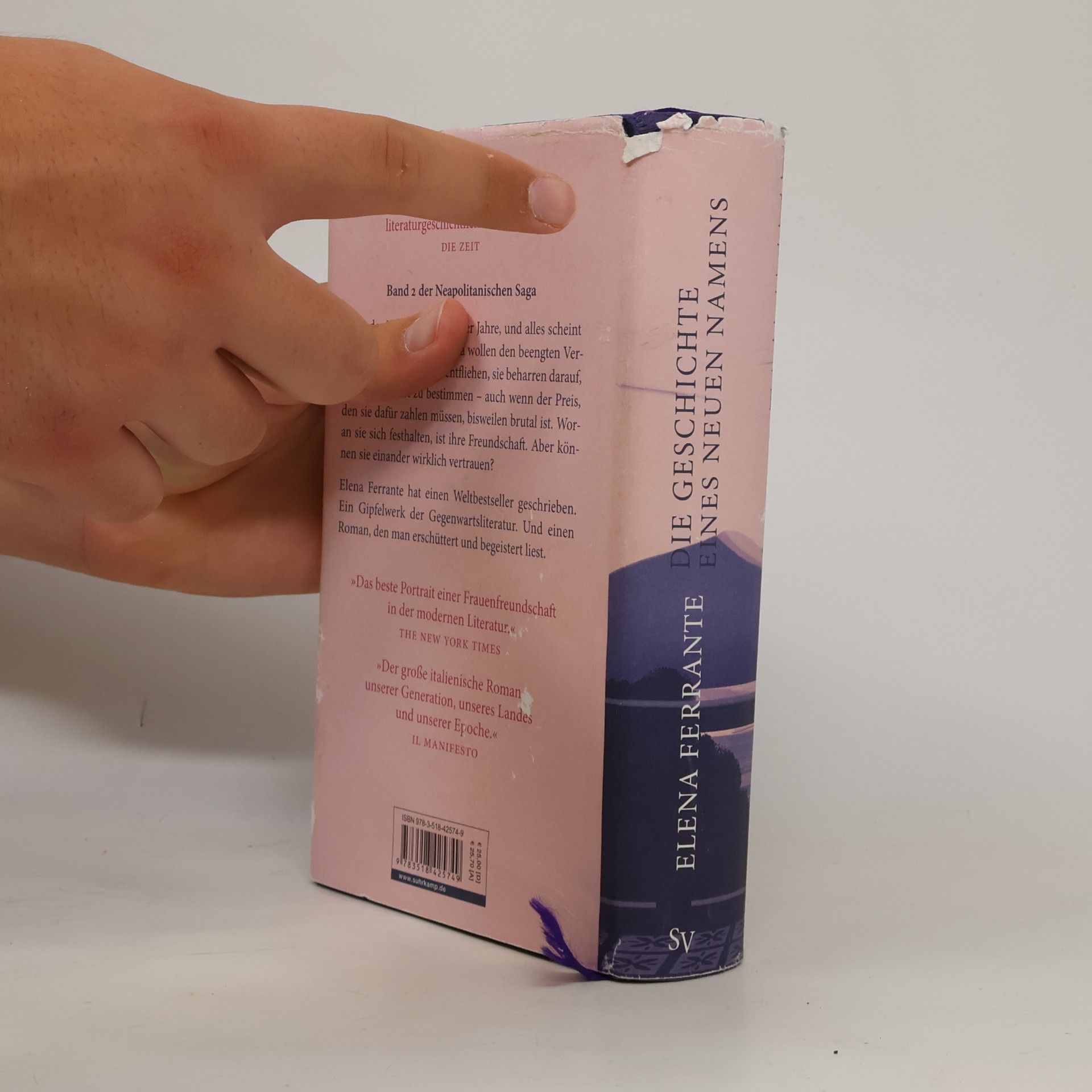 Elena Ferrante Die Geschichte eines neuen Namens: Jugendjahre