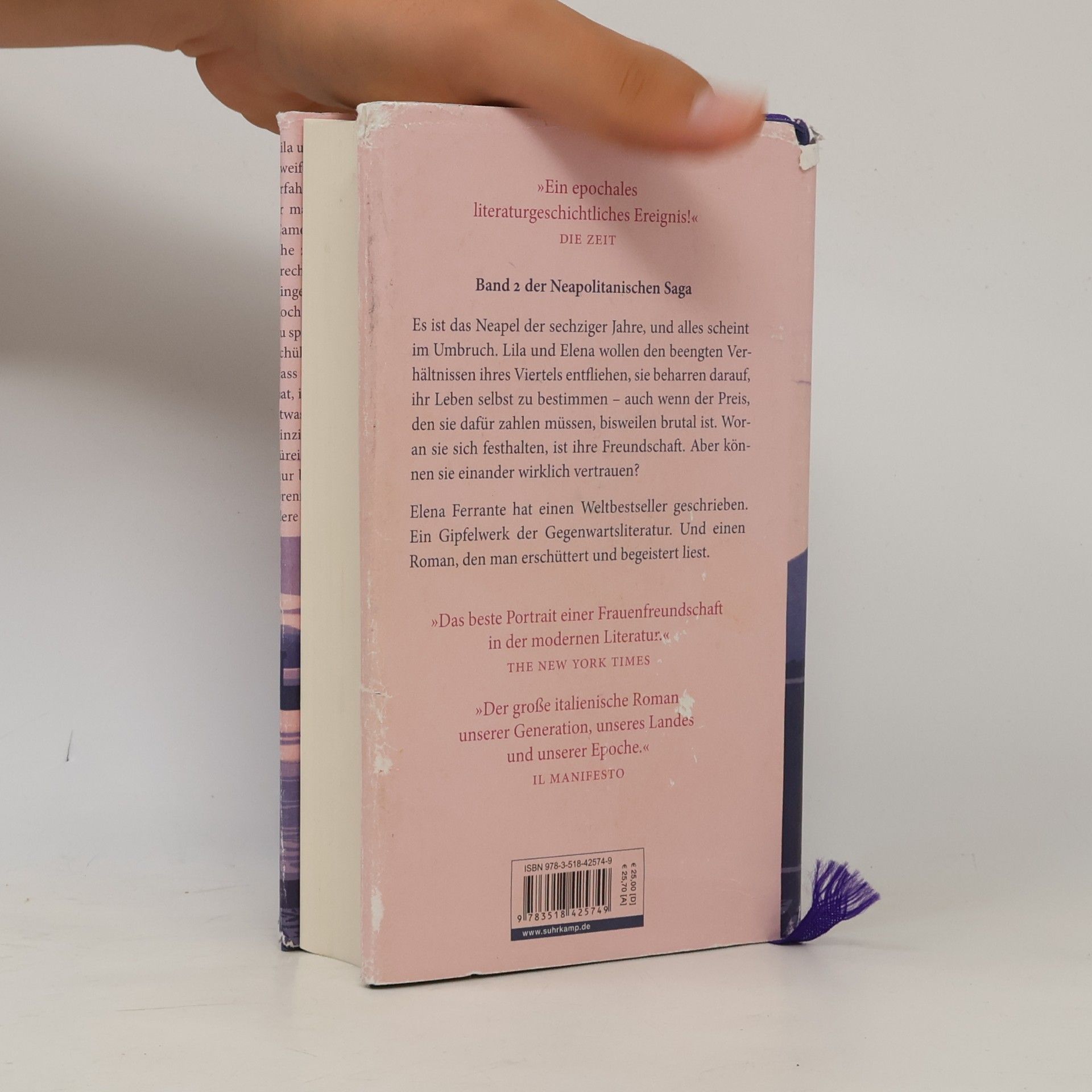 Elena Ferrante Die Geschichte eines neuen Namens: Jugendjahre
