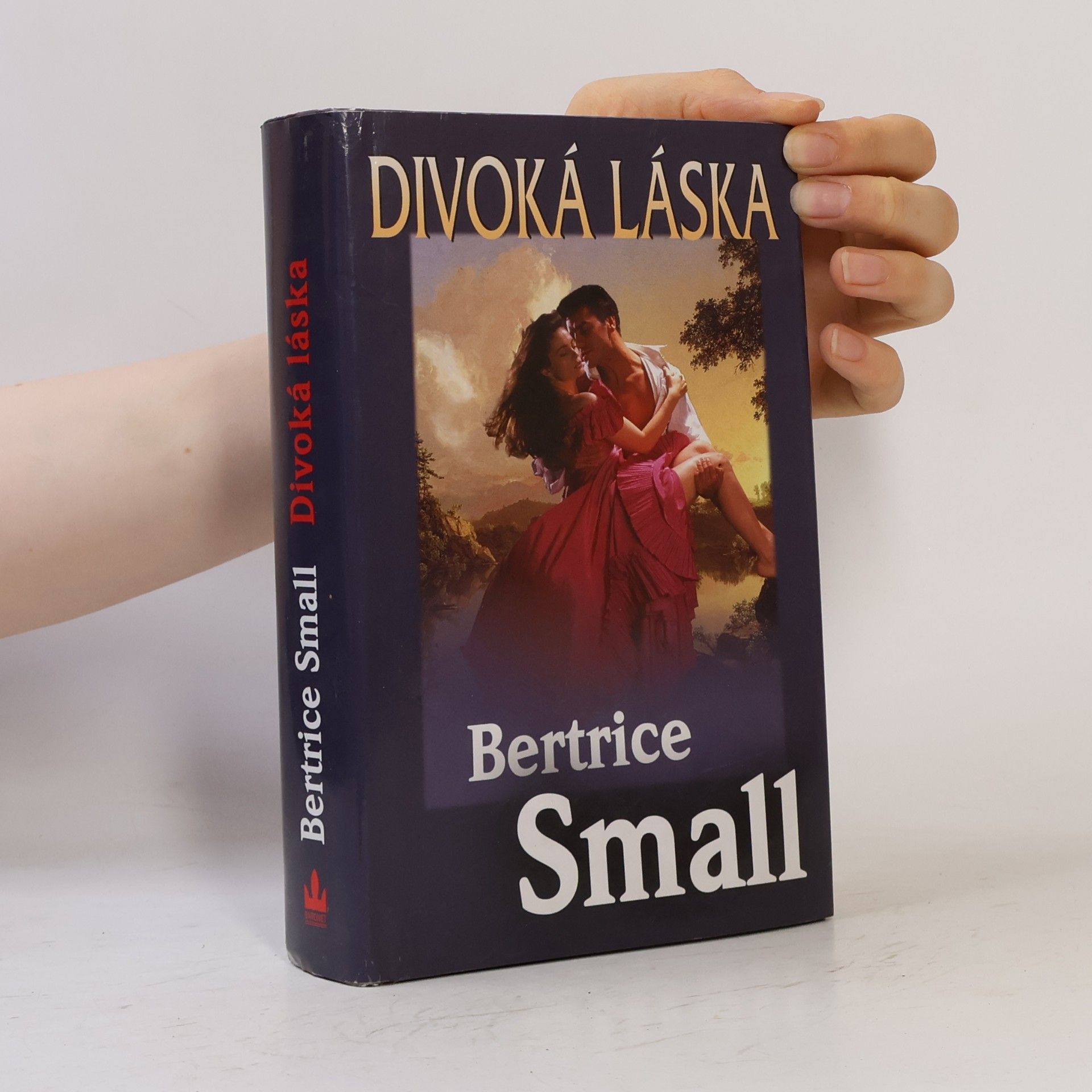 Bertrice Small Divoká láska