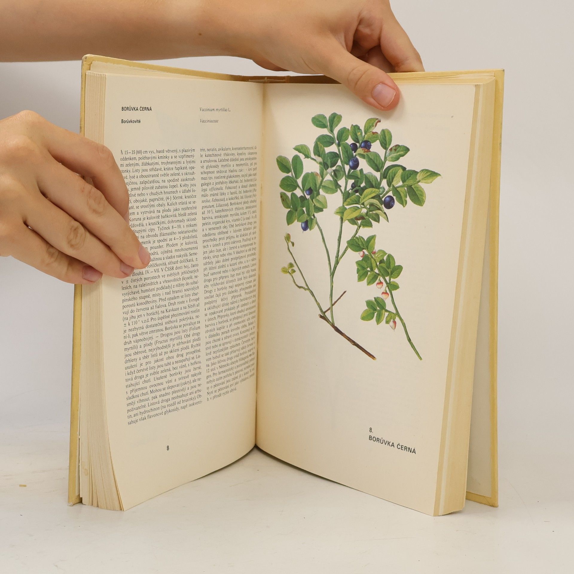 Václav Jirásek Atlas léčivých rostlin