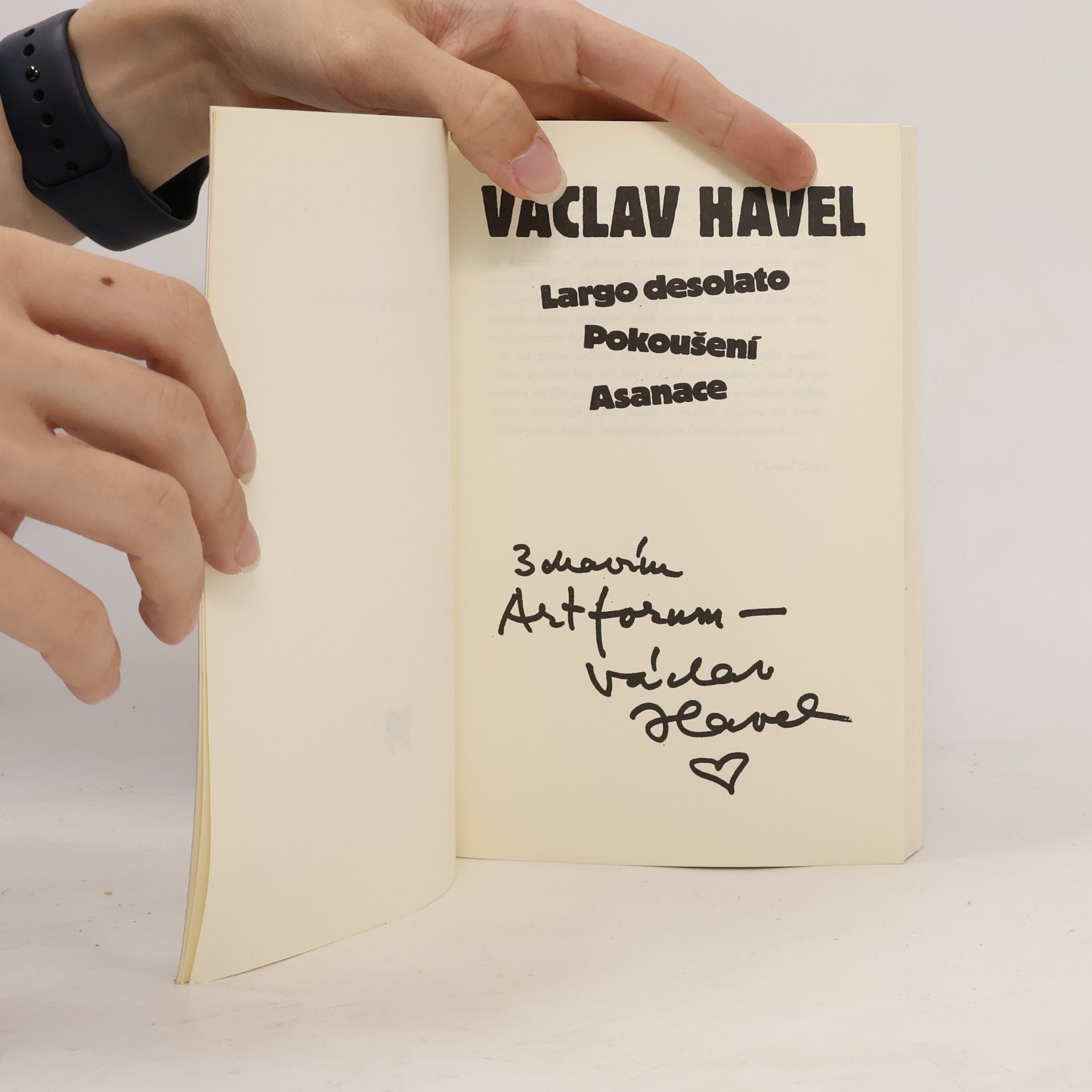 Václav Havel Pokoušení. Largo Desolato. Asanace.