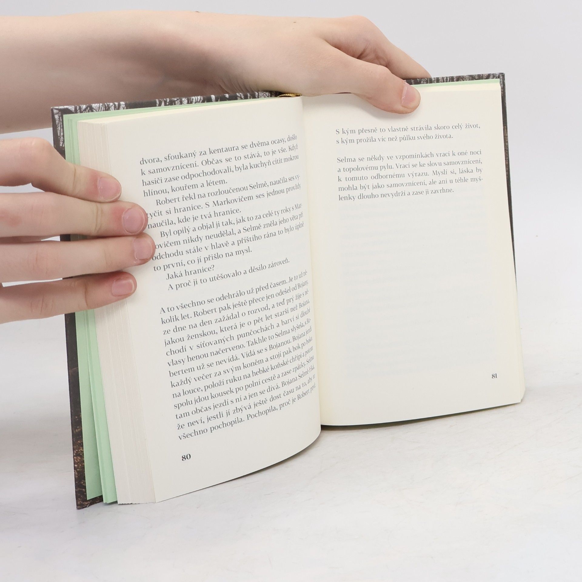 Judith Hermann Lettipark